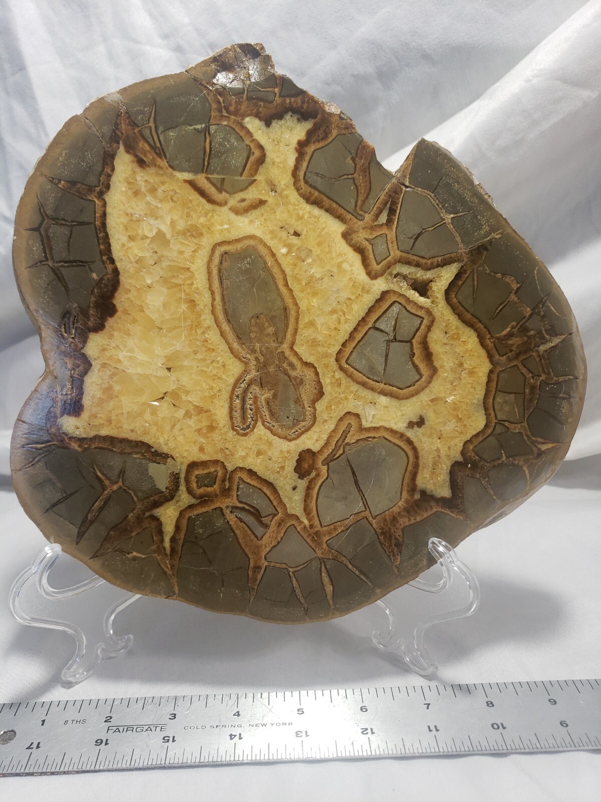 Large Septarian Nodule Specimen from Utah 10″x9″ 3 pounds 13 ounces (1708g)