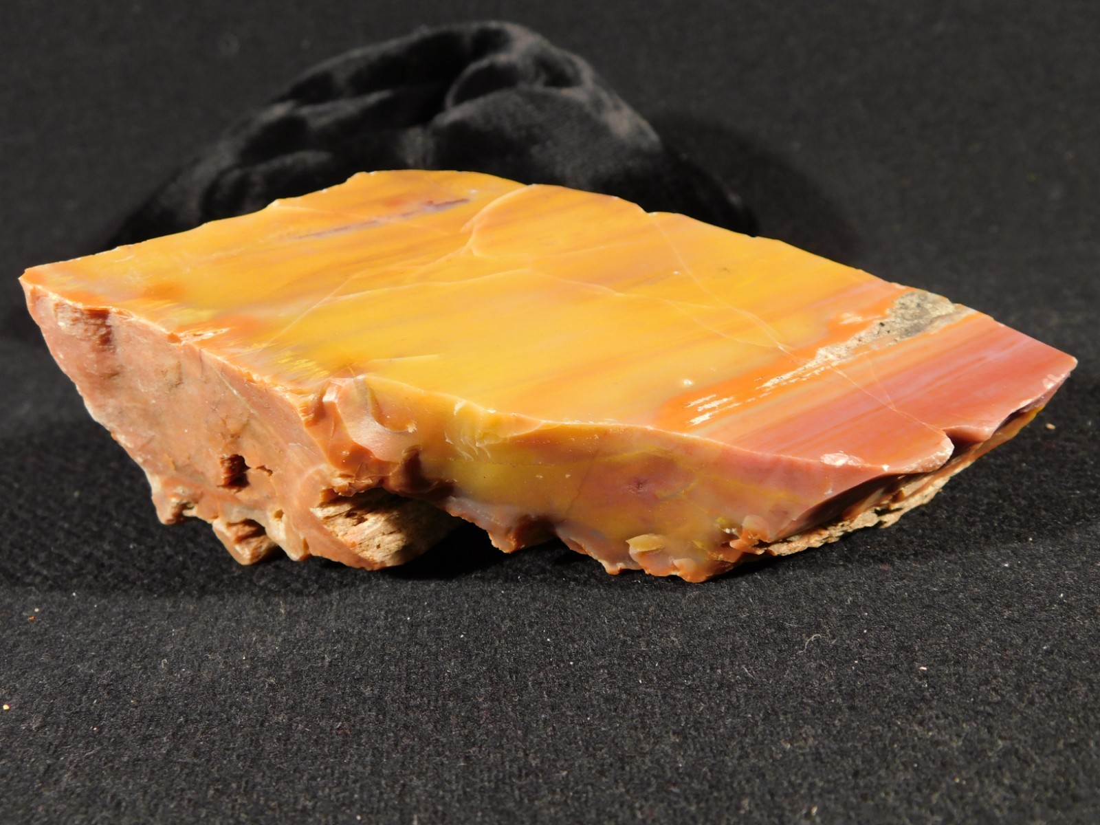 Polished Deep Yellow/RED Petrified RAINBOW WOOD Fossil End Cut Arizona 309gr