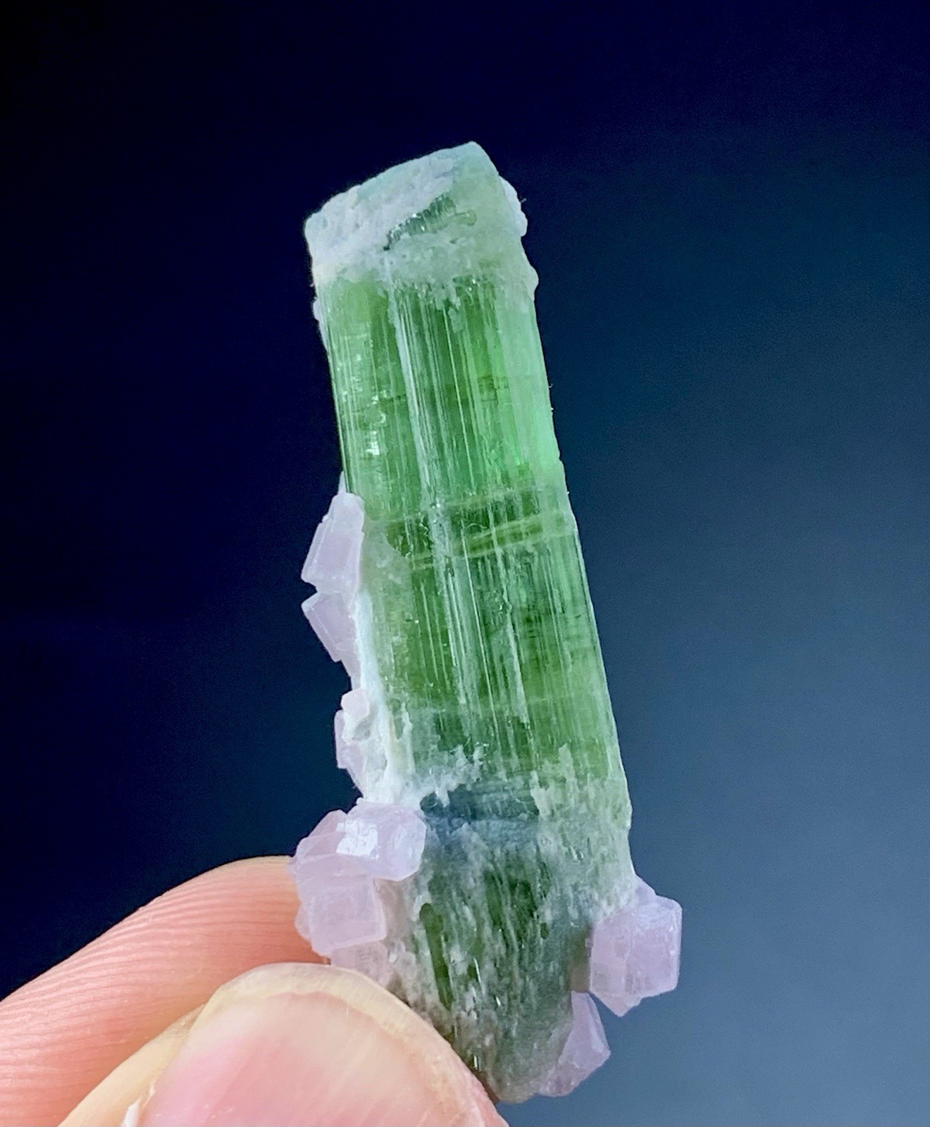 36 Ct Apatite Crystals Cluster On Tourmaline Matrix Specimen Afghanistan