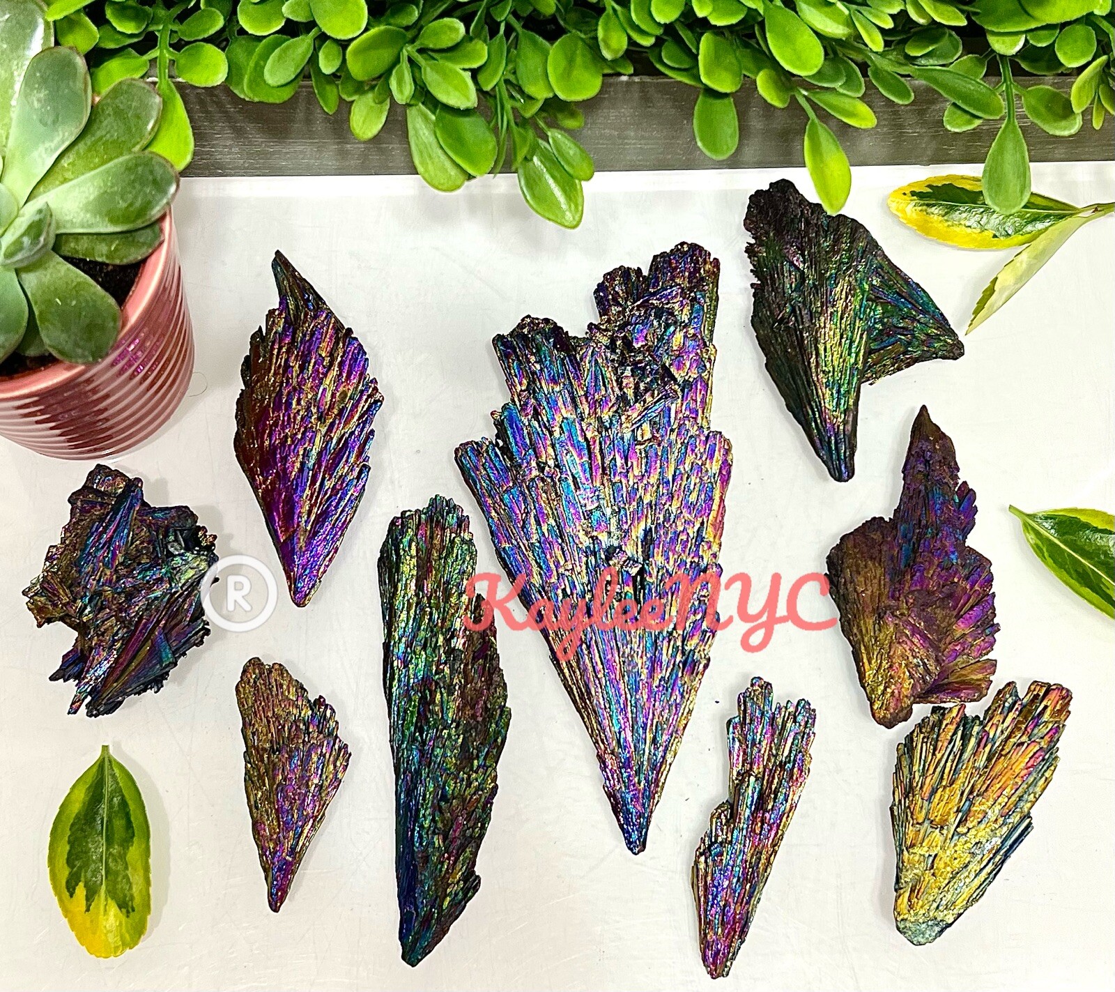 Wholesale Lot 1 Lb Titanium Black Kyanite Raw Crystal Healing Energy