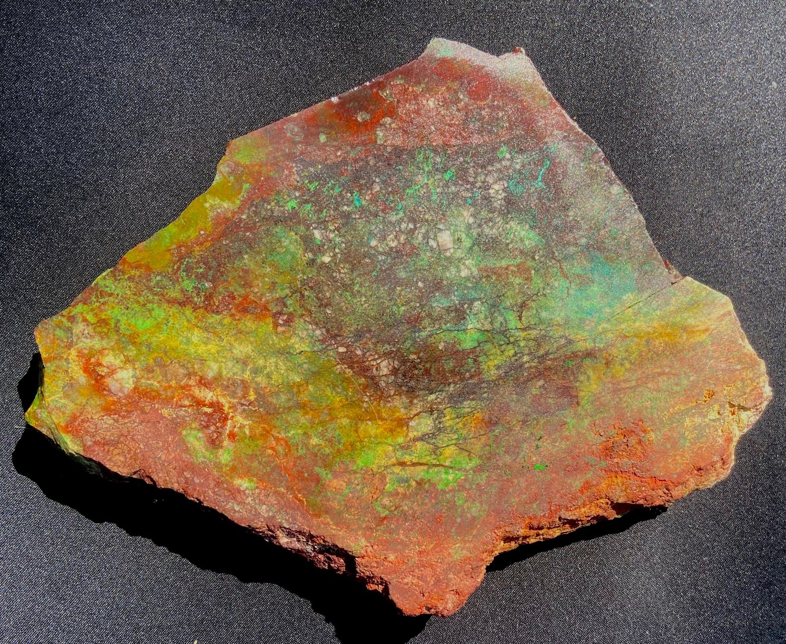 Parrot Wing Chrysocolla Colorful AA Big Slab Untreated No Cracks 212 Gram 7.5 Oz