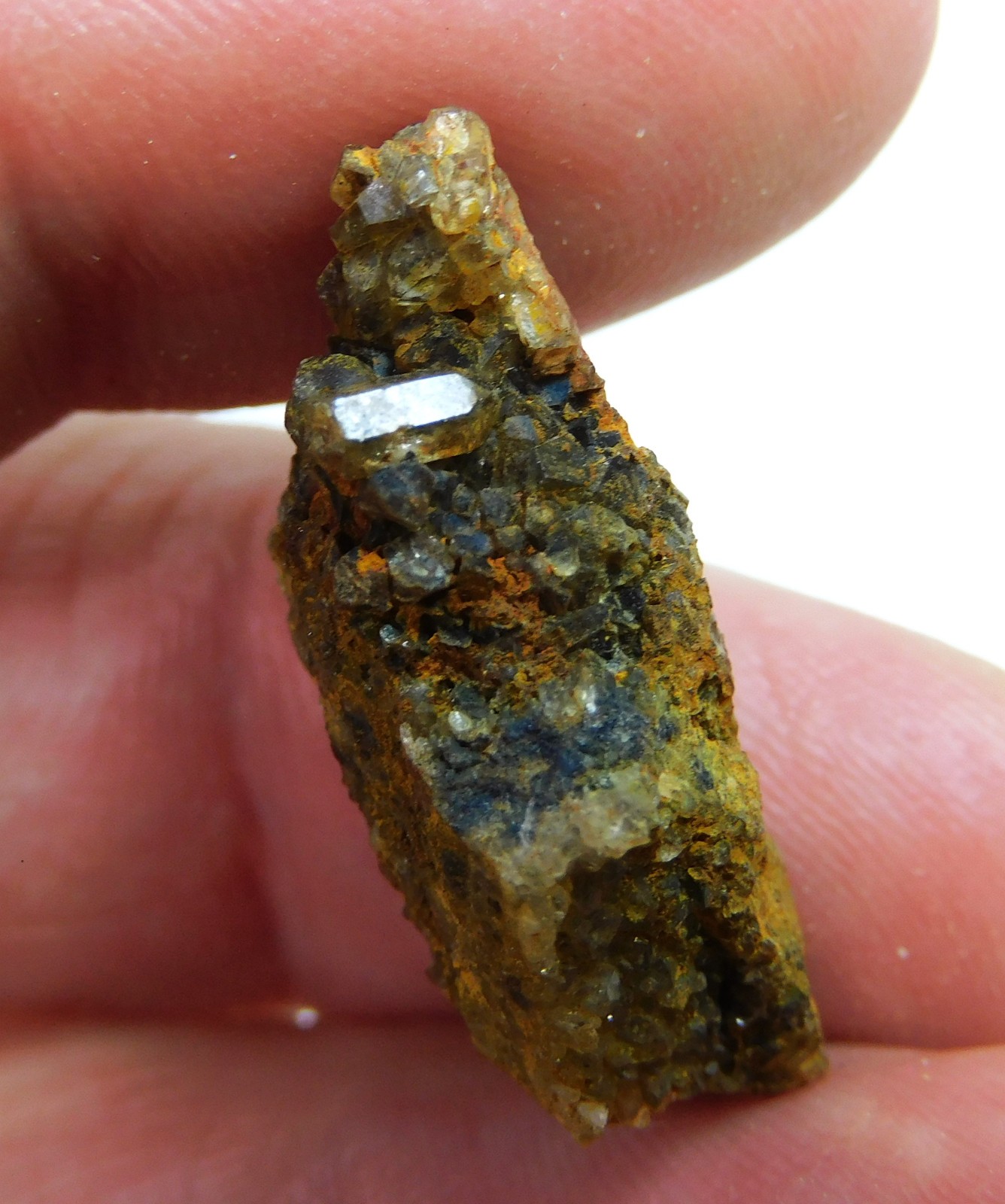 Petrified Wood specimen with brown Crystals From Brilliant Alabama