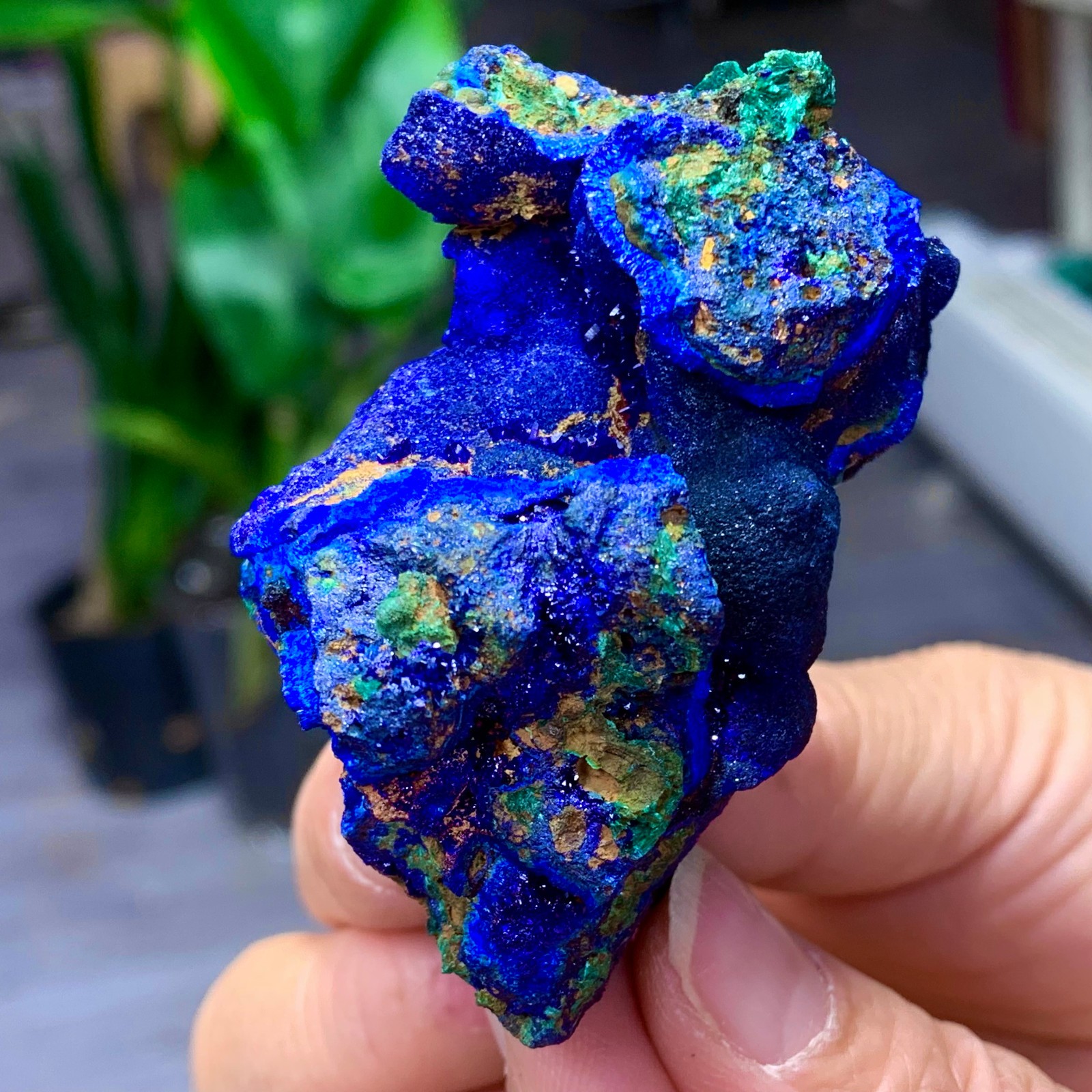 102G BEST Natural Azurite/Malachite crystal minerals specimens