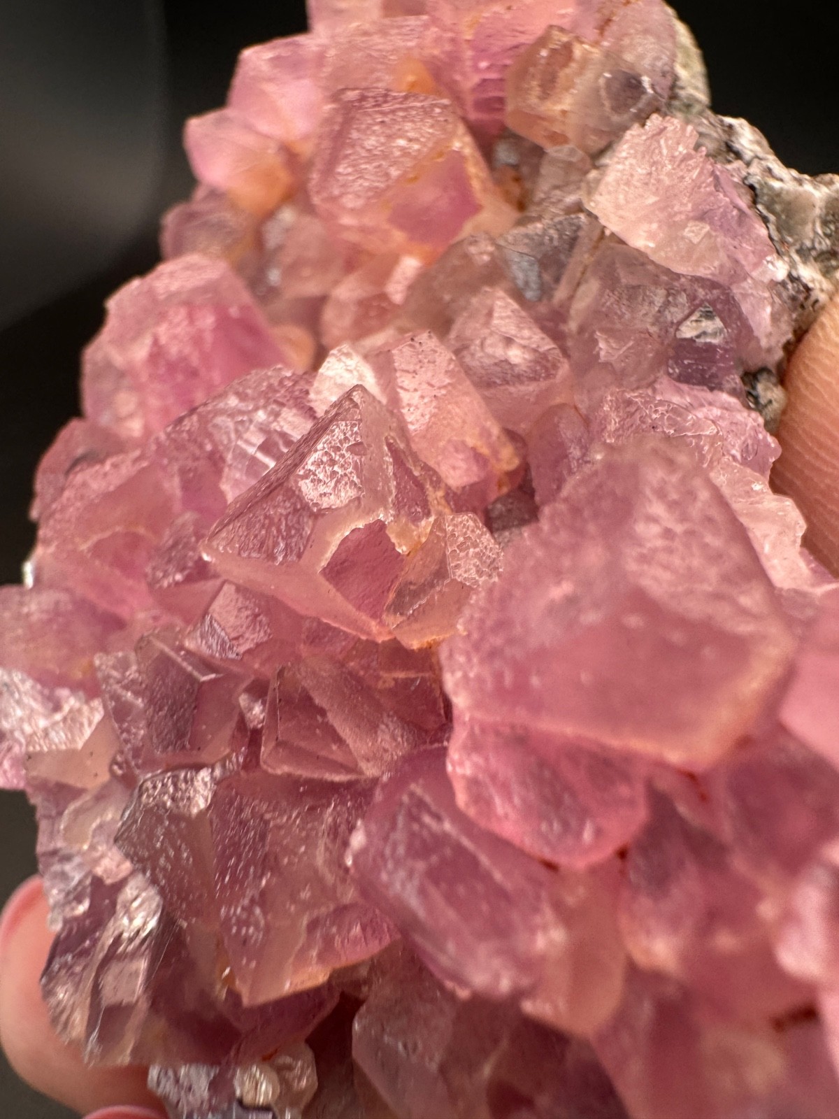 6869 HIGH QUALITY, Huge, Gemmy Cobaltoan Calcite Crystals Morocco 195g