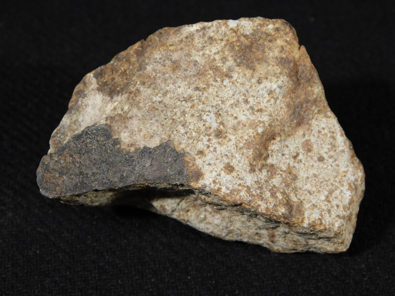Classified NWA 8245 METEORITE 100% Natural Erfoud, Morocco 147gr