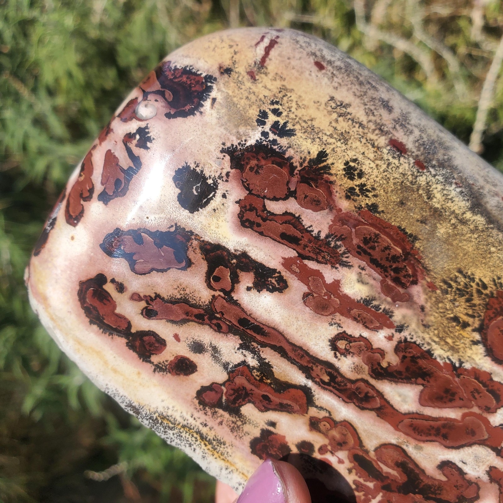 Picture Stone Jasper Dendritic Dendrite Display Freeform | 3lbs 5oz | 1490 Gram