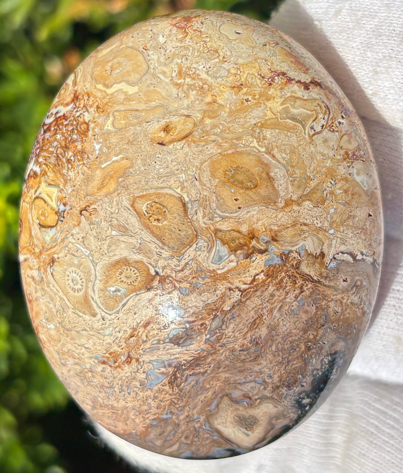 LOT MIZONE OPAL/GREEN SMITHSONITE/PALM ROOT PALMSTONES PALM STONES STONE