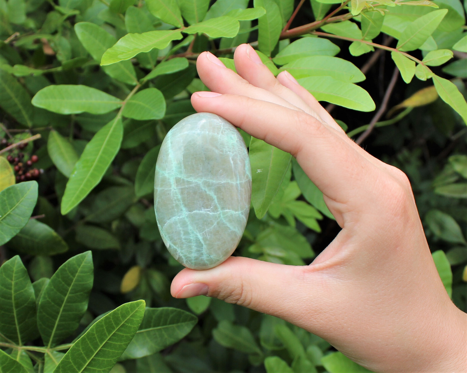 Garnierite Hand Polished Stones: Green Moonstone Pebbles, Palm Stone, Crystal