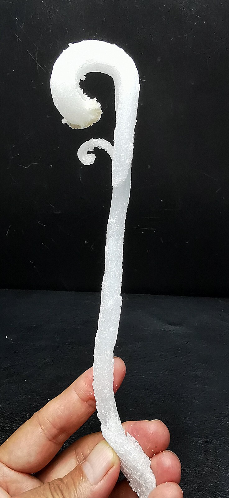 50gNatural ‘Ram’s Horn’ shape Selenite (Gypsum), Natural Mineral Specimen