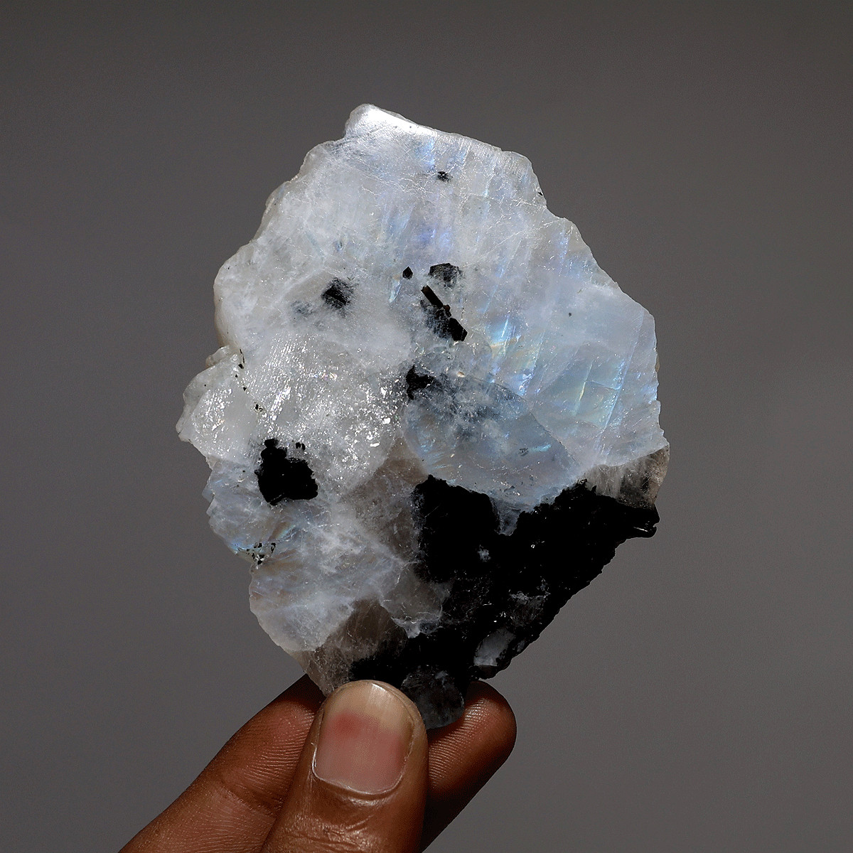 Divine Intuition — Natural Rainbow Moonstone W/ Tourmaline Electric Fire Slab