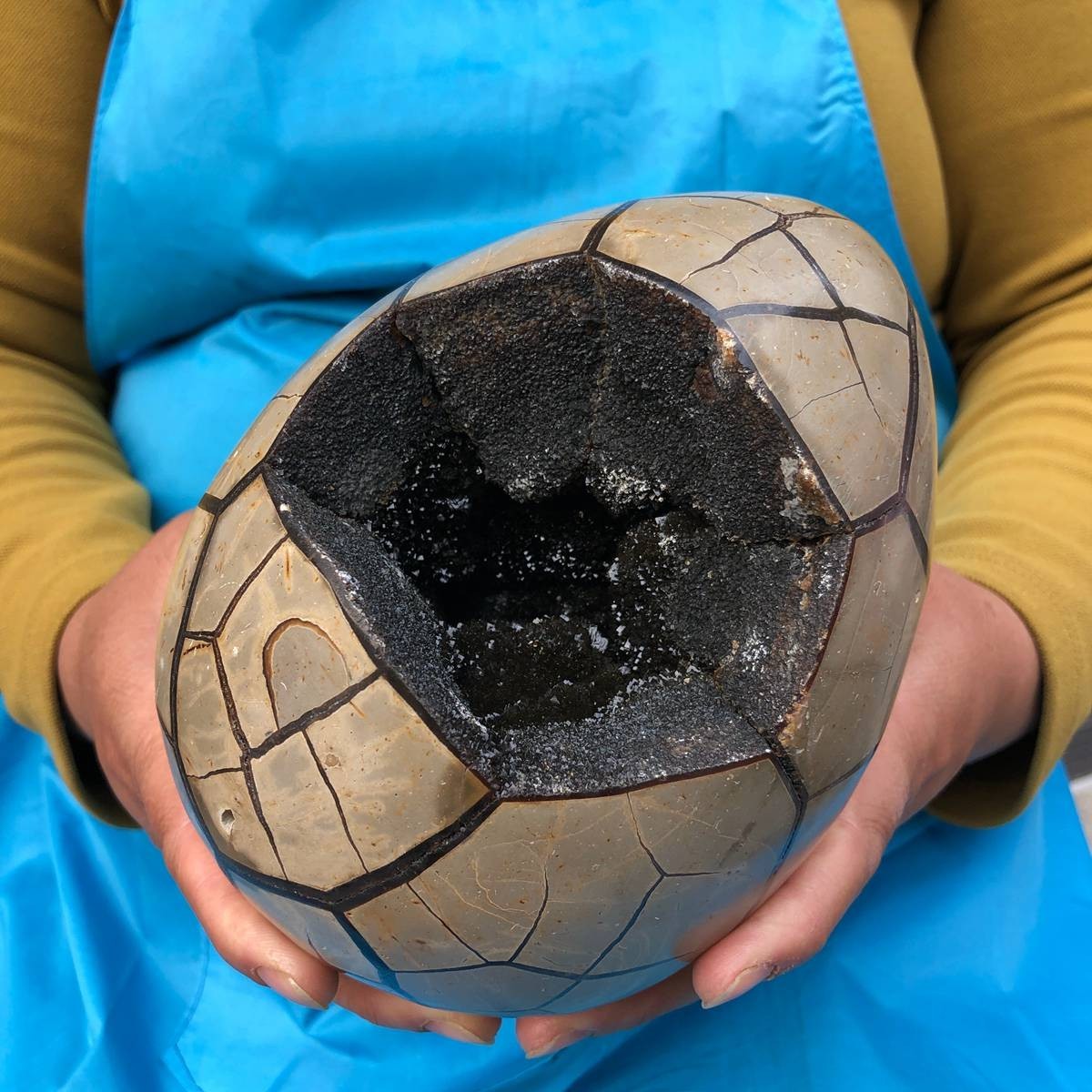 7.23LB Natural Septarian Dragon Egg Geode with Lid Reiki Energy Healing Crystal