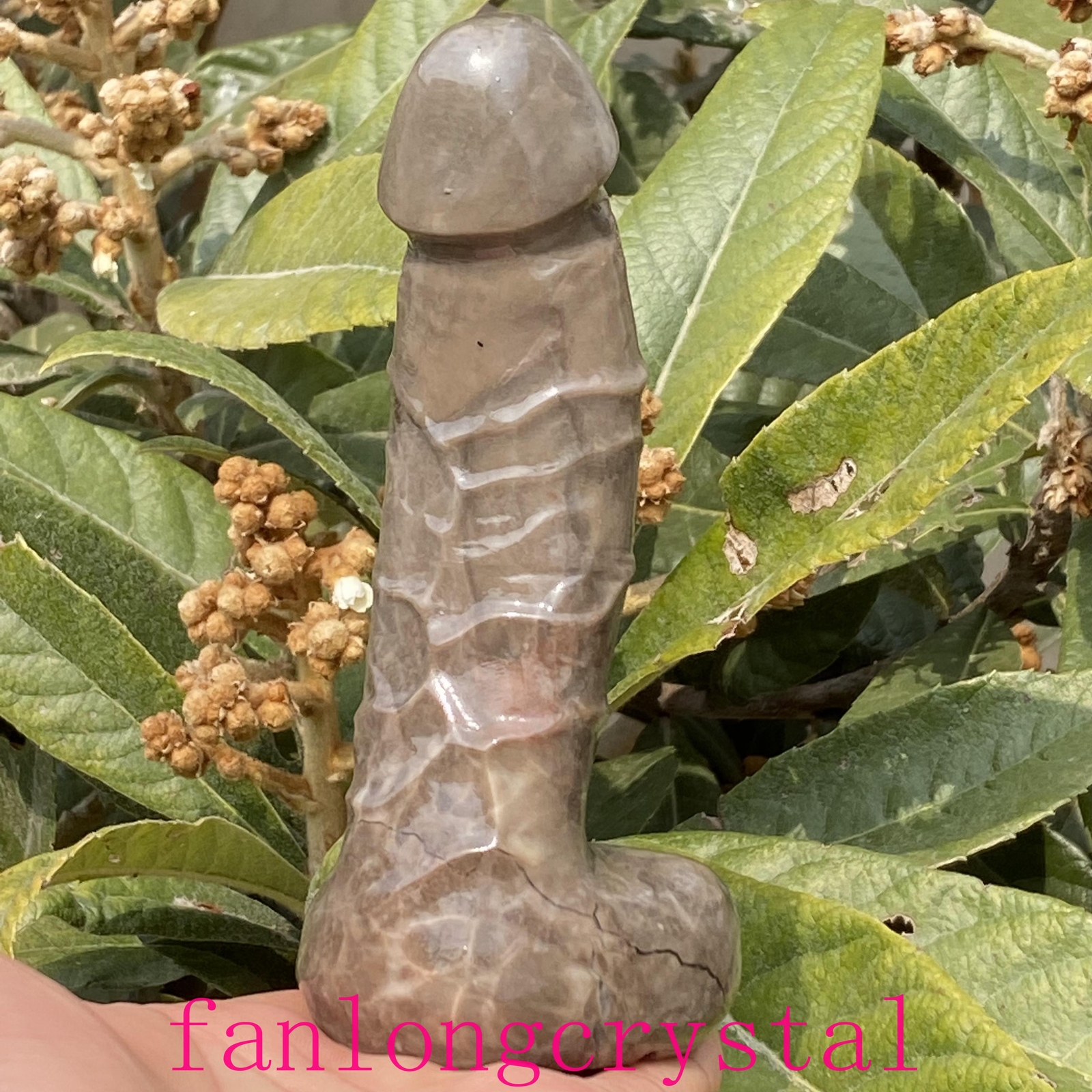 6in Natural Volcanic agate male penis Quartz Crystal Carved Figurines Reiki 1pc