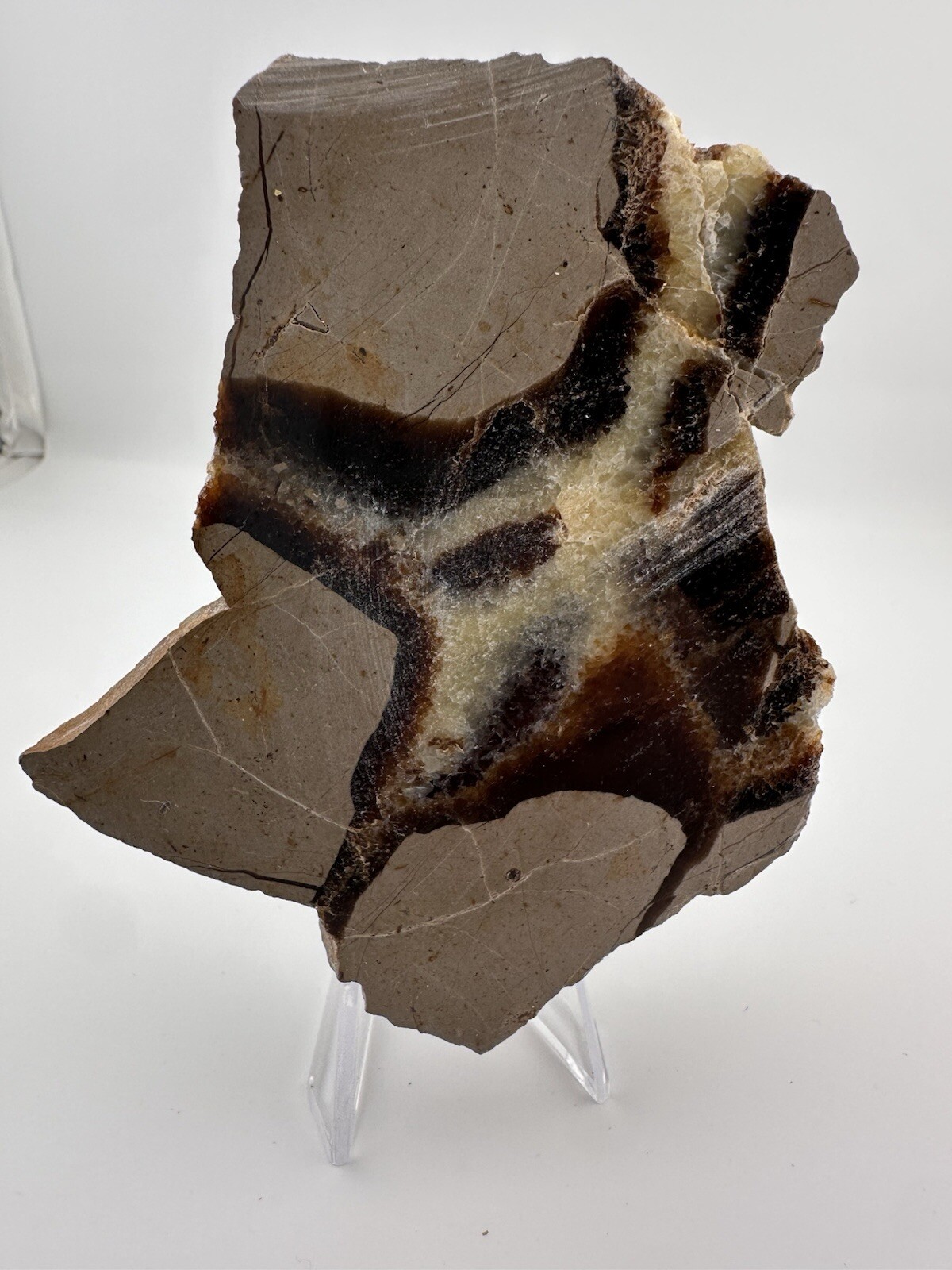 Polished Septarian End Piece Thick Slab 4″ X 3″ 8.3 oz Natural Art!