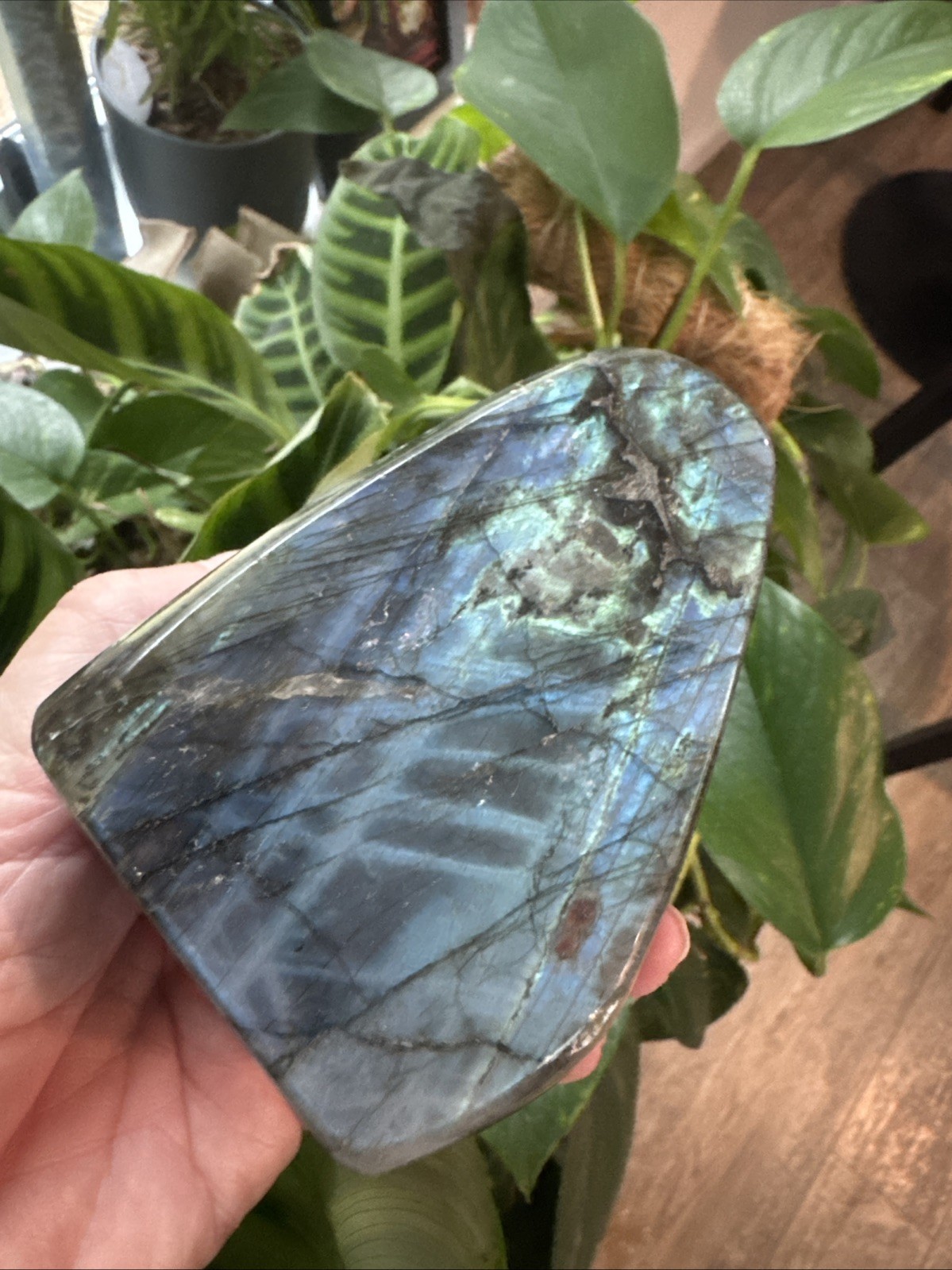Labradorite Crystal Freeform 522 Grams 4.25”