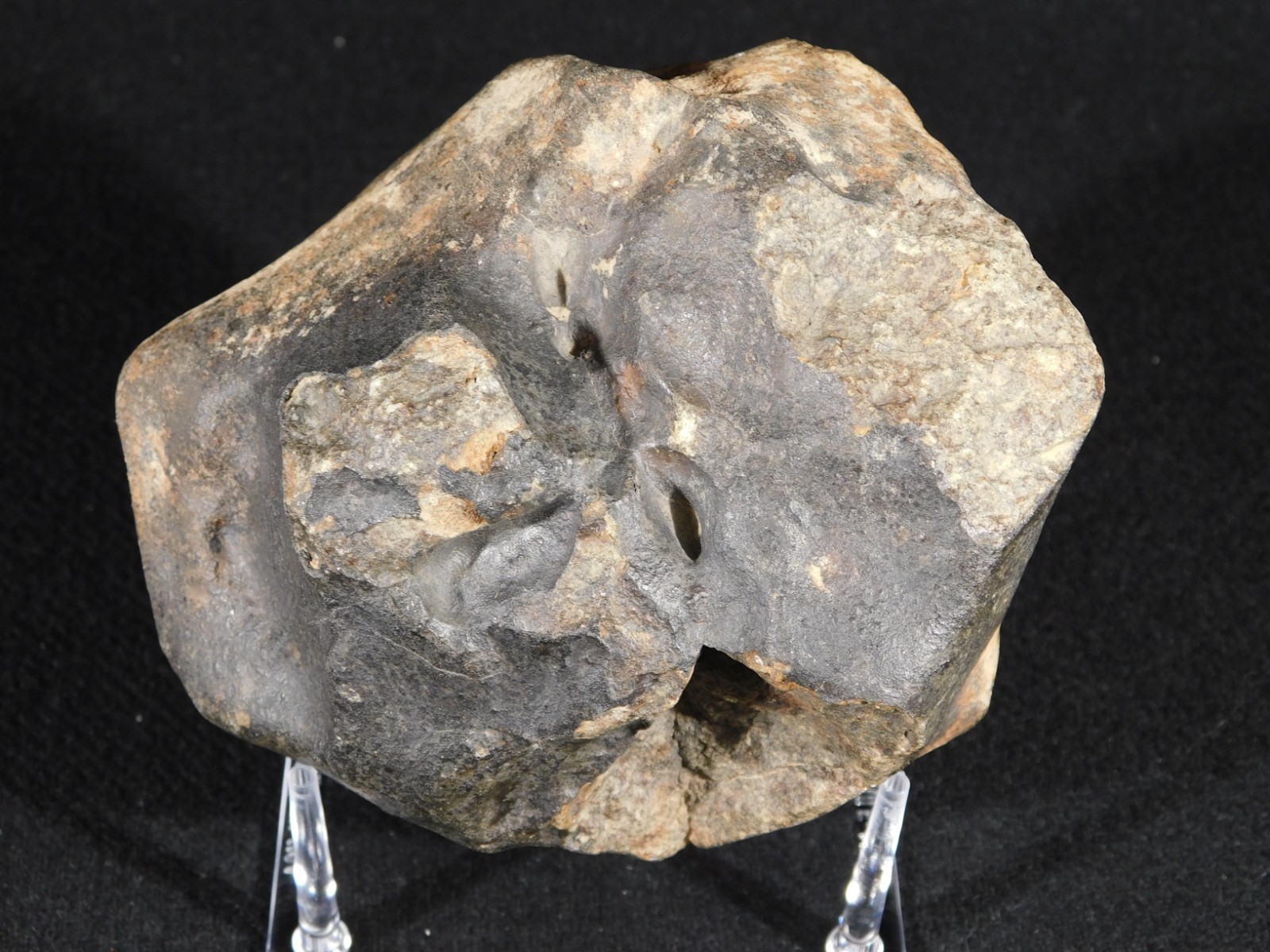 Big! N.W.A 869 Stony METEORITE with Dark Fusion Crust and DEEP REGMAGLYPTS 880gr
