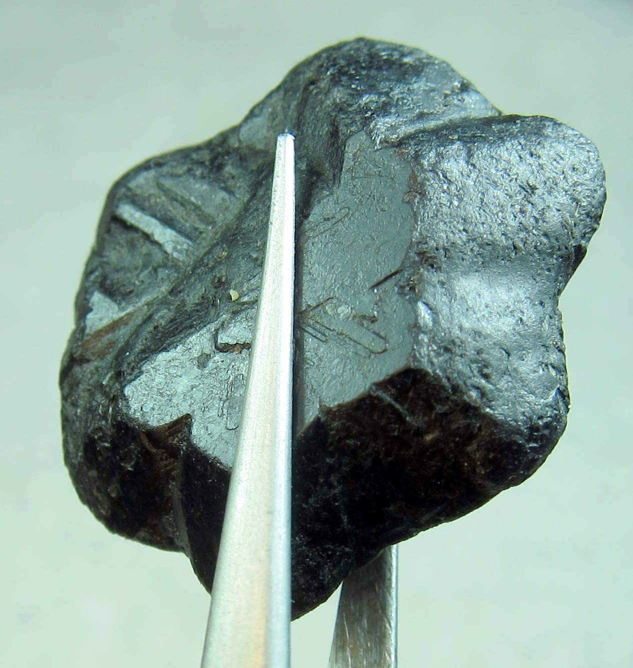 59 CT ALEXANDRITE NATURAL ROUGH COLECTOR’S CRYSTAL MINERAL GEM (N3)
