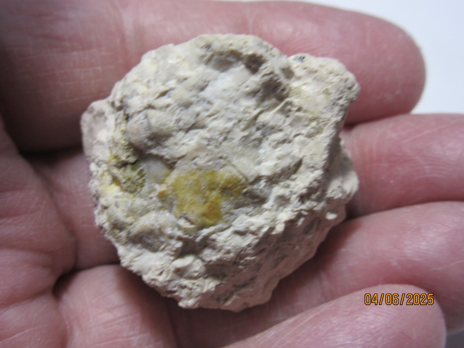 Raw OPAL Rough in Matrix Oregon 1 1/2″ Collectible RORMC-4s