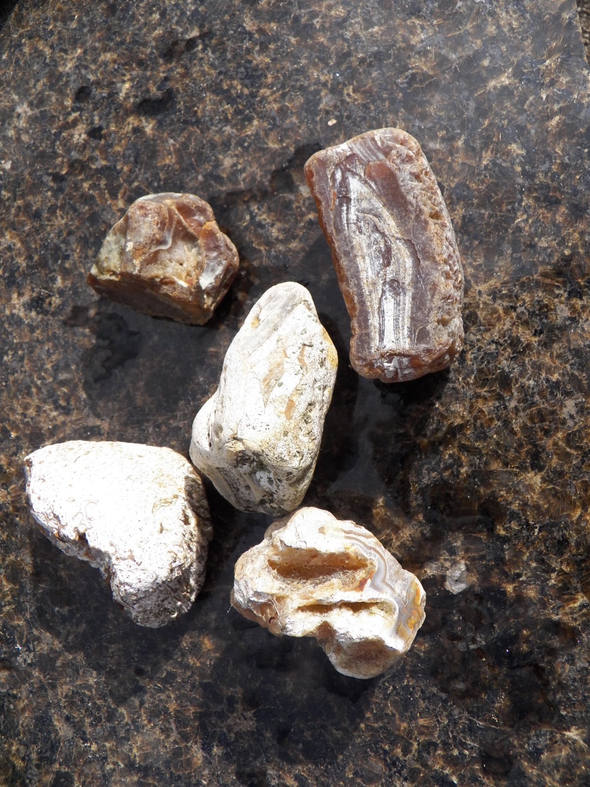 5 pc Sumatra Indonesia agate banded patina specimen rough 2.5 lb