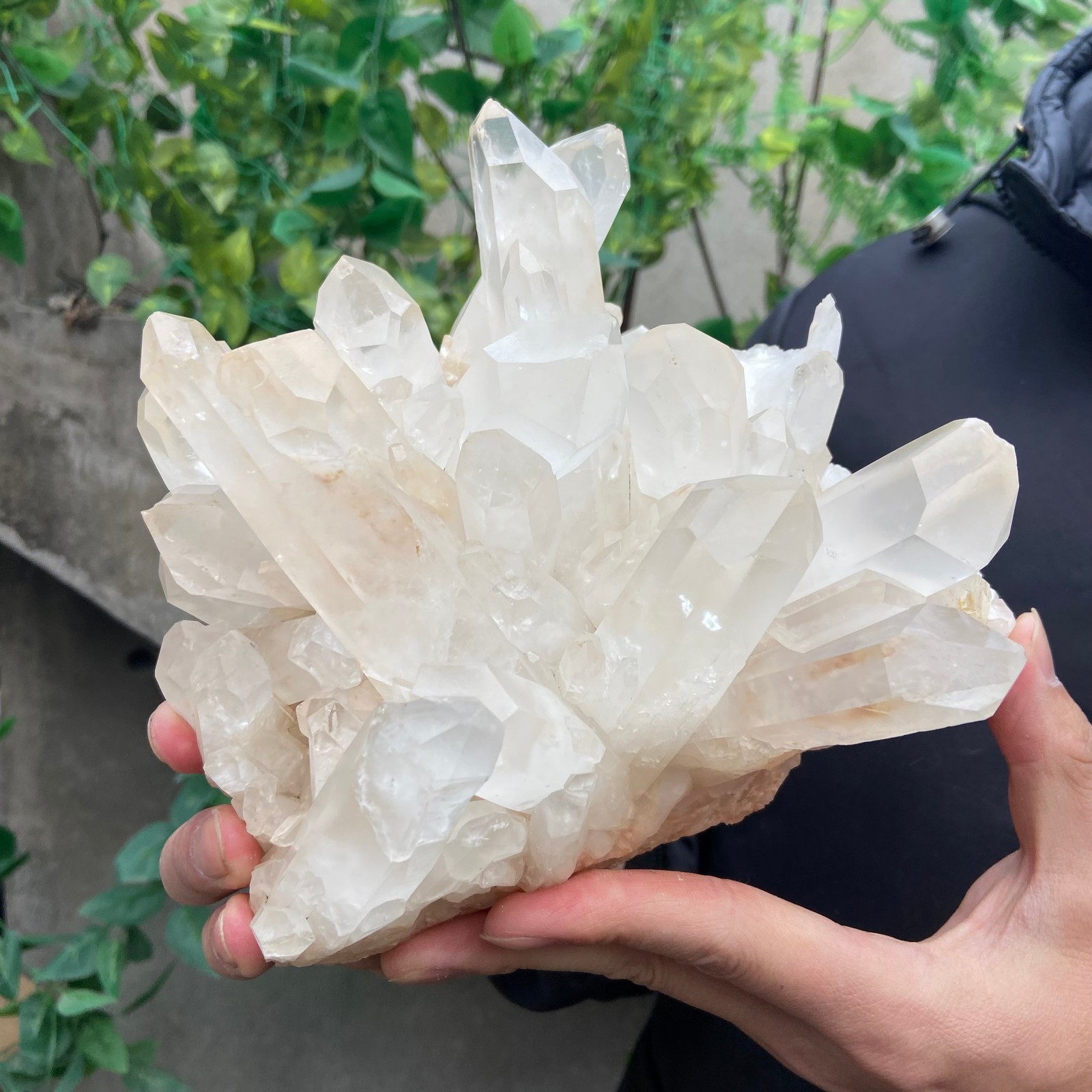 5.7lb Natural Clear White Quartz Crystal Cluster Rough Healing Specimen