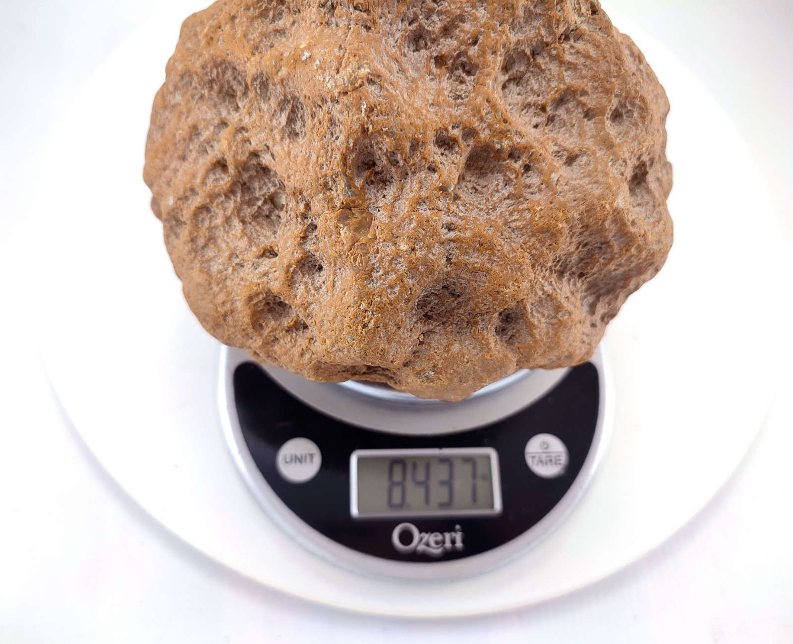 8″ Unopened Geode Nodule Round Bumpy Exterior Kentucky Quartz Crystal 8.4 LB