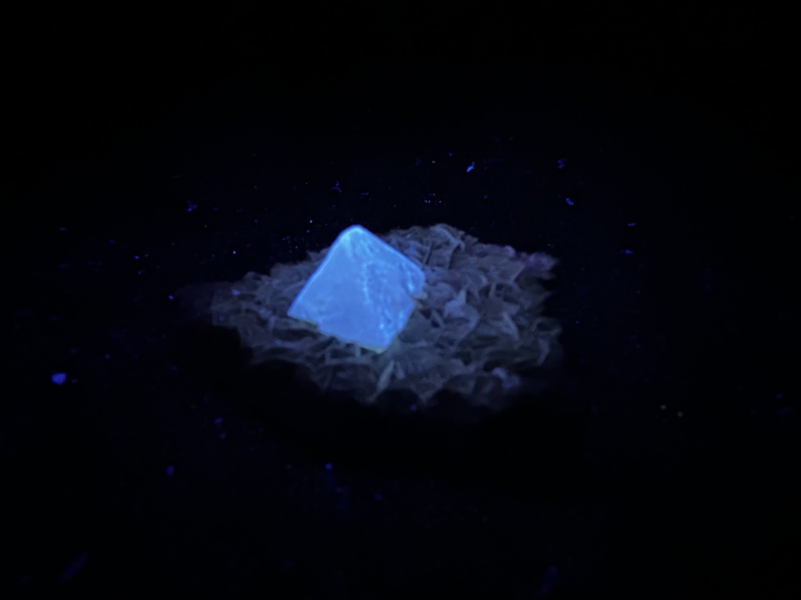 KB: SW FL BRIGHT BLUE/WHITE & LW ORANGE SCHEELITE XLS. FROM PINGWU MINE, CHINA