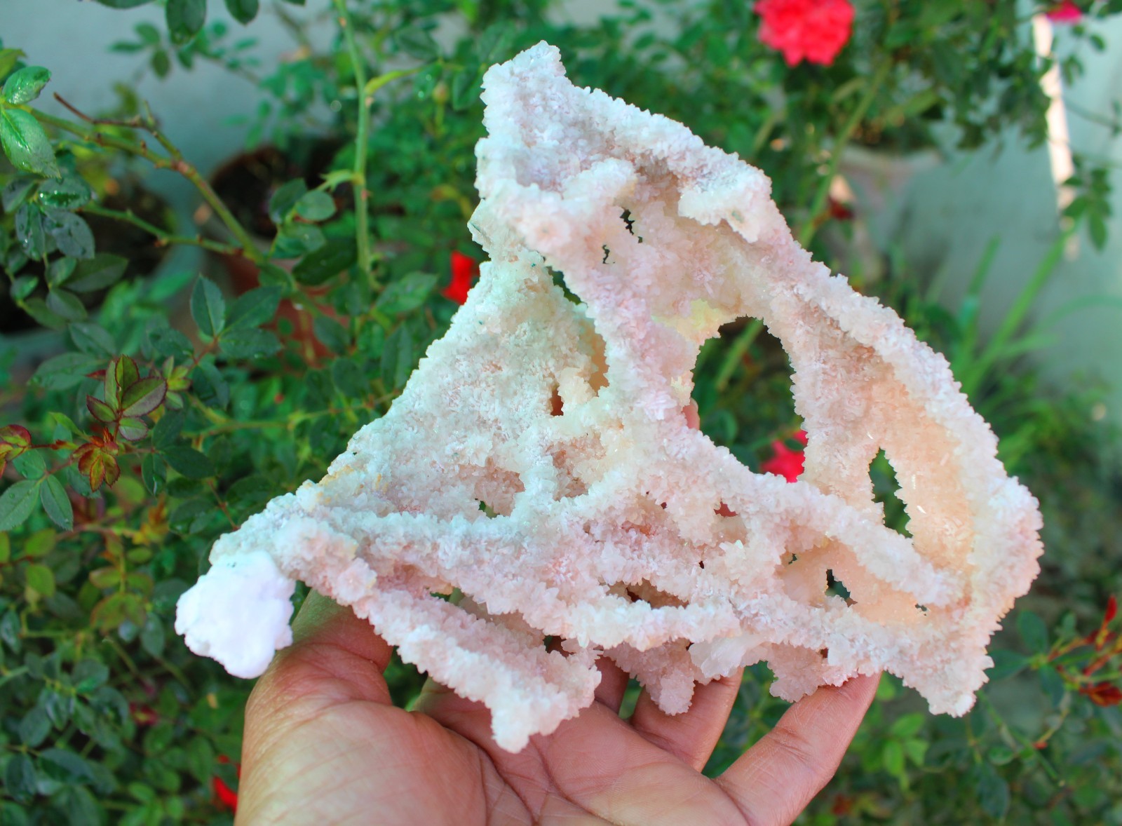 Apophyllite Crystals With Chalcedony Coral Minerals Specimen #A9