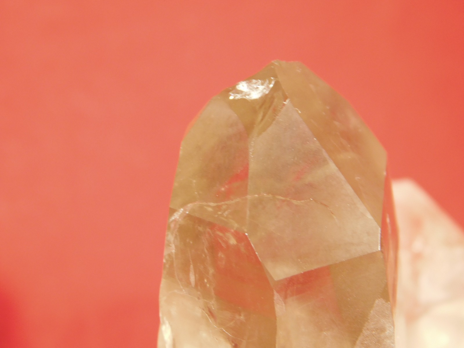 BIG! Free Standing! SMOKY Quartz Crystal Cluster From Brazil 792gr