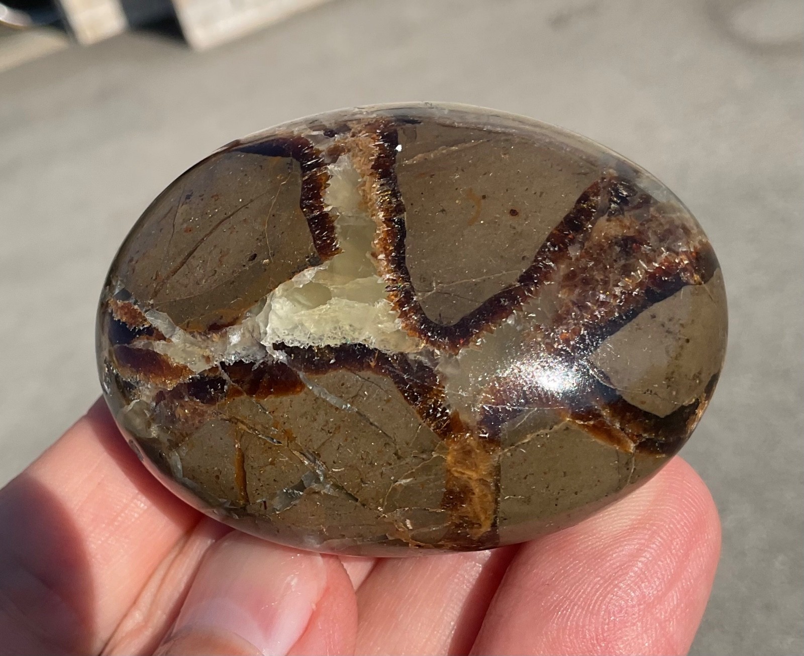 118g Polished Septarian Palmstone Dragon Egg Geode Fossil Worry Stone