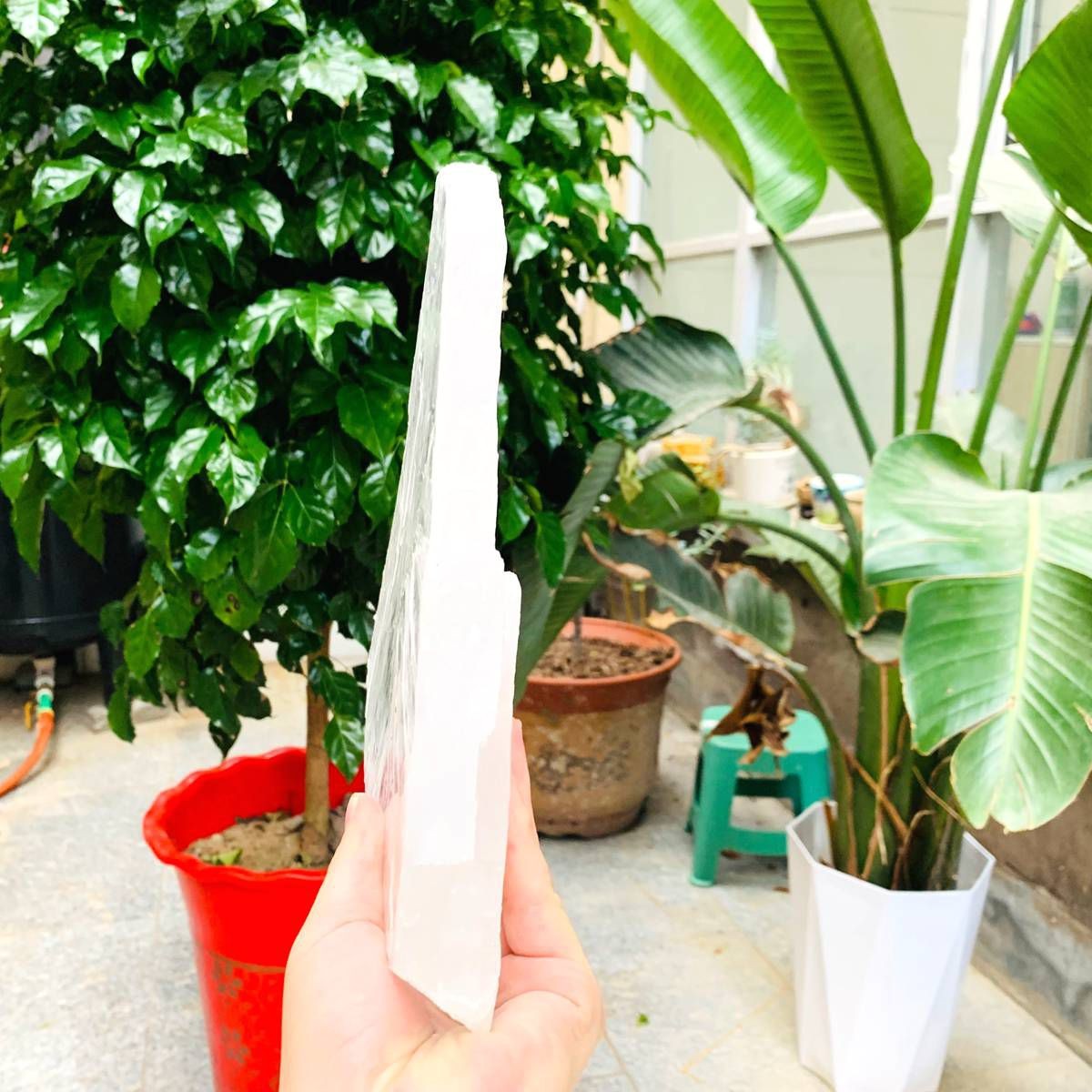 3.59LB Natural Clear Transparent Selenite Slab Gypsum Crystal Mineral Specimen