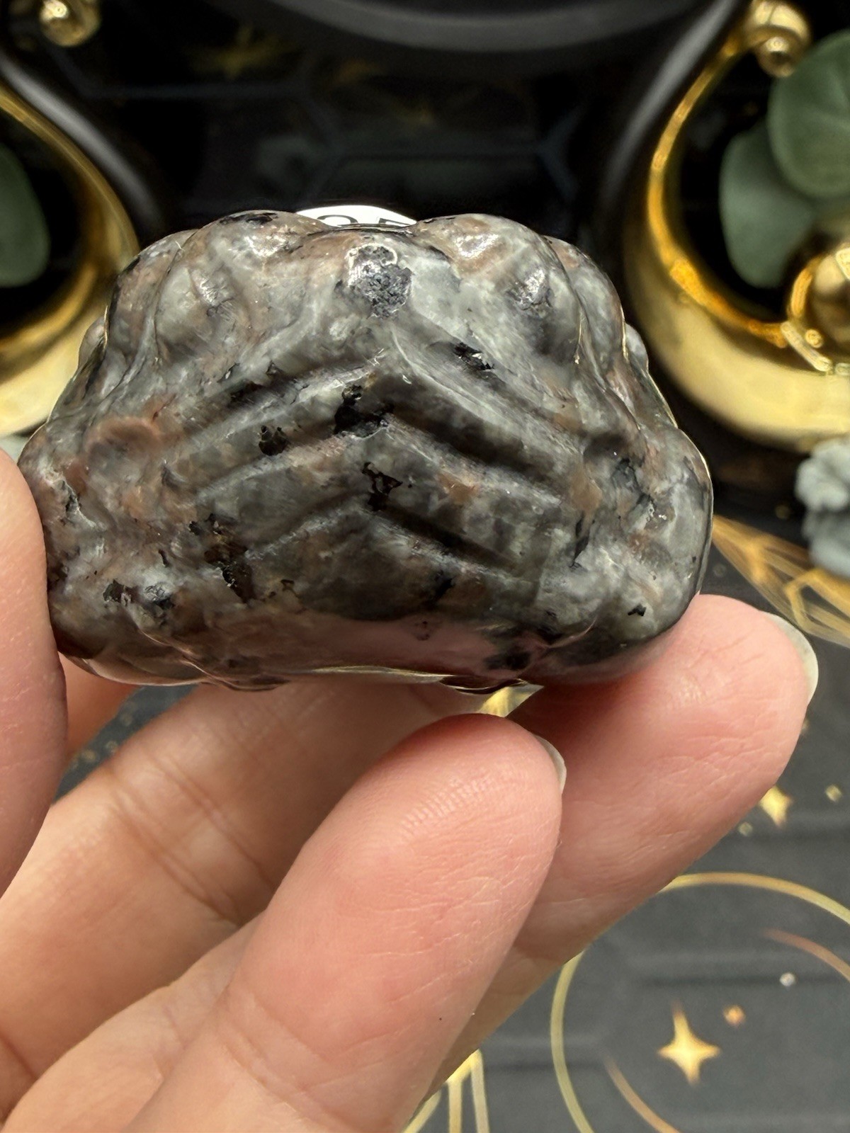 Natural Emberlite Carved Toads Super Cute Free shipping