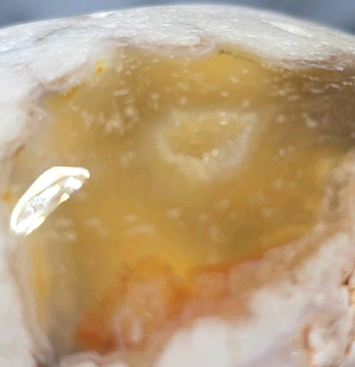Flower Agate Skull 2.5″ X 2″ 7.8 Oz. 222g.