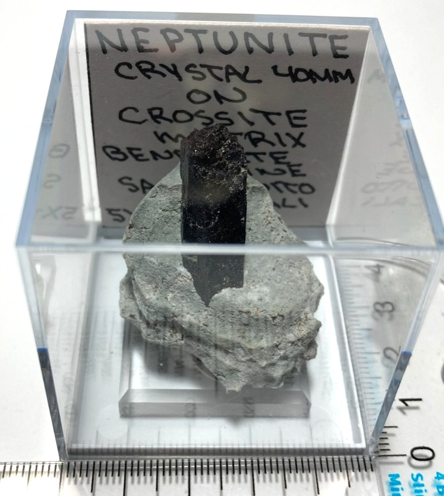 Stunning Neptunite 40mm crystal on Crossite matrix. San Benito California
