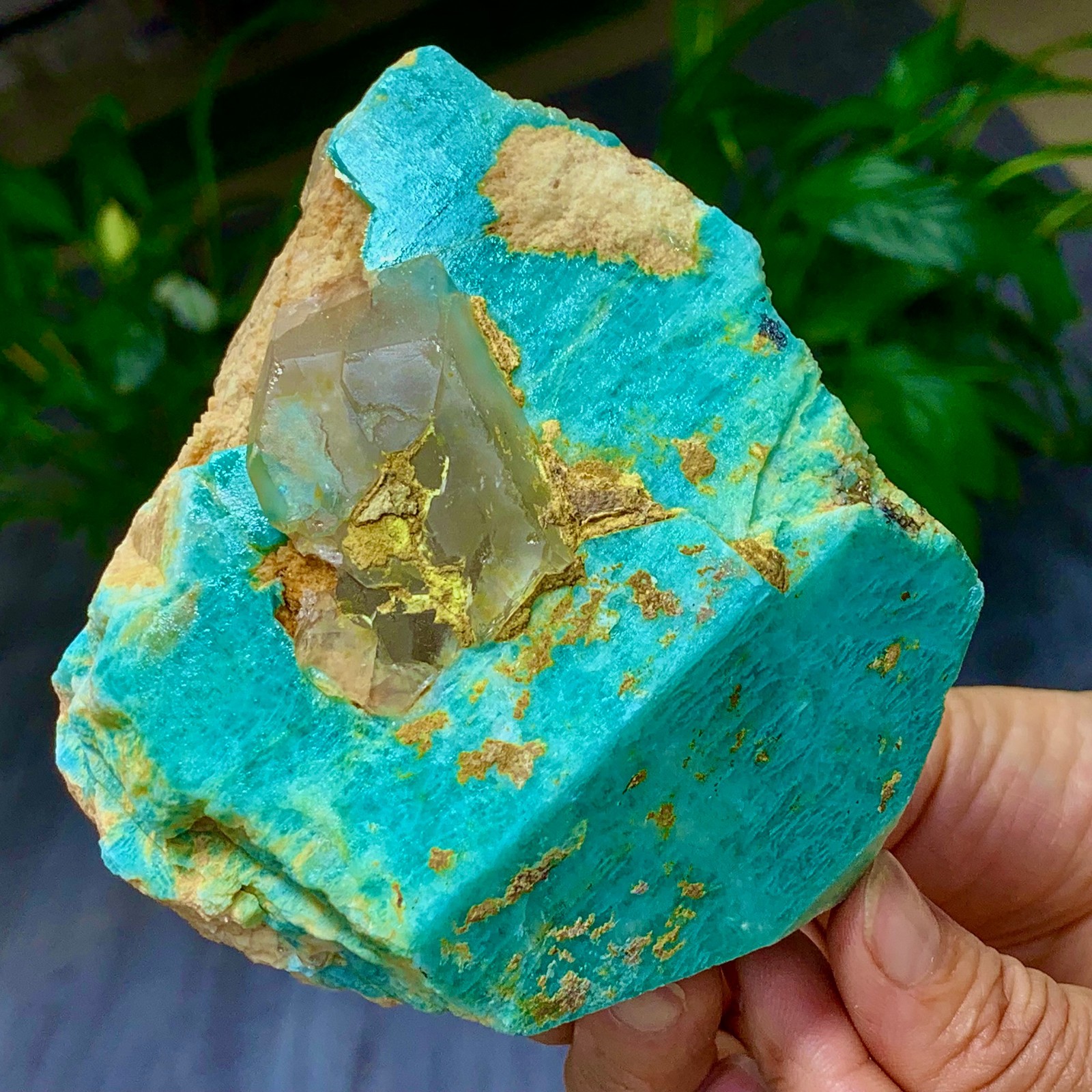 1.58LB Rare!! Natural beautiful Amazonite with Quartz Crystal Specimen Rough