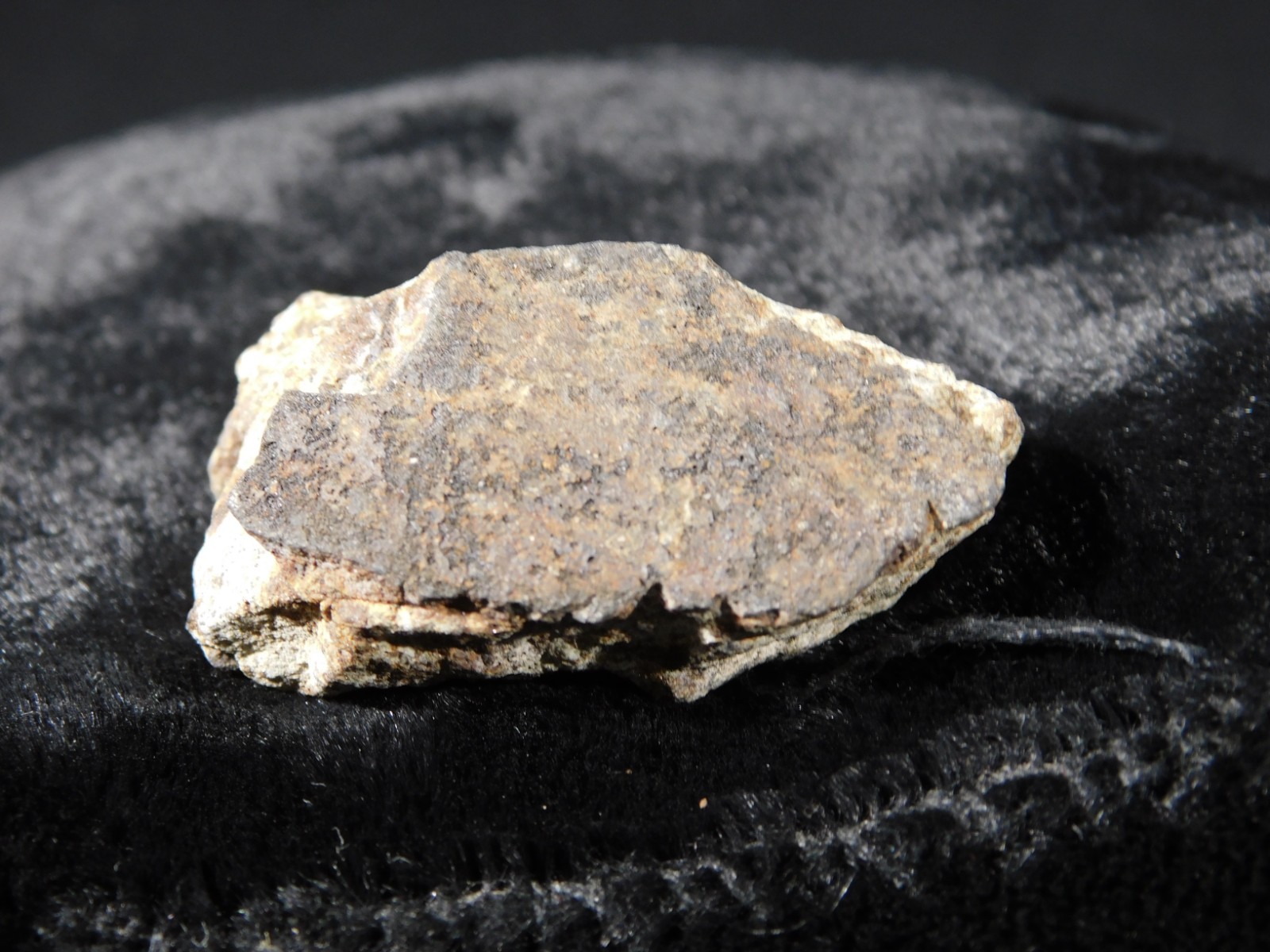 Classified NWA 8245 METEORITE Spots of Dark Fusion Crust! Erfoud, Morocco 21.0gr