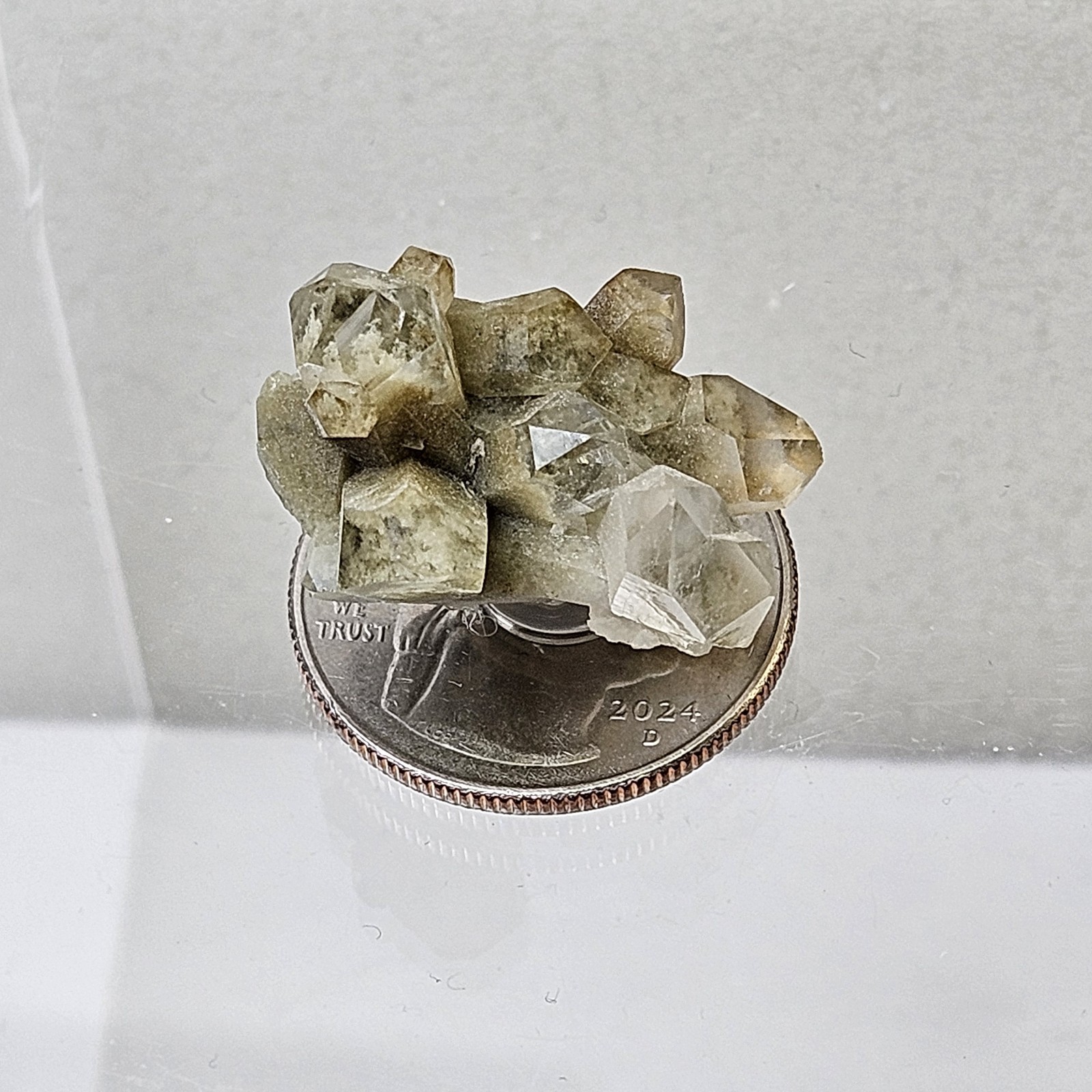 Natural Green Chlorite Included Quartz Cluster Specimen Garden Quartz U.S Seller