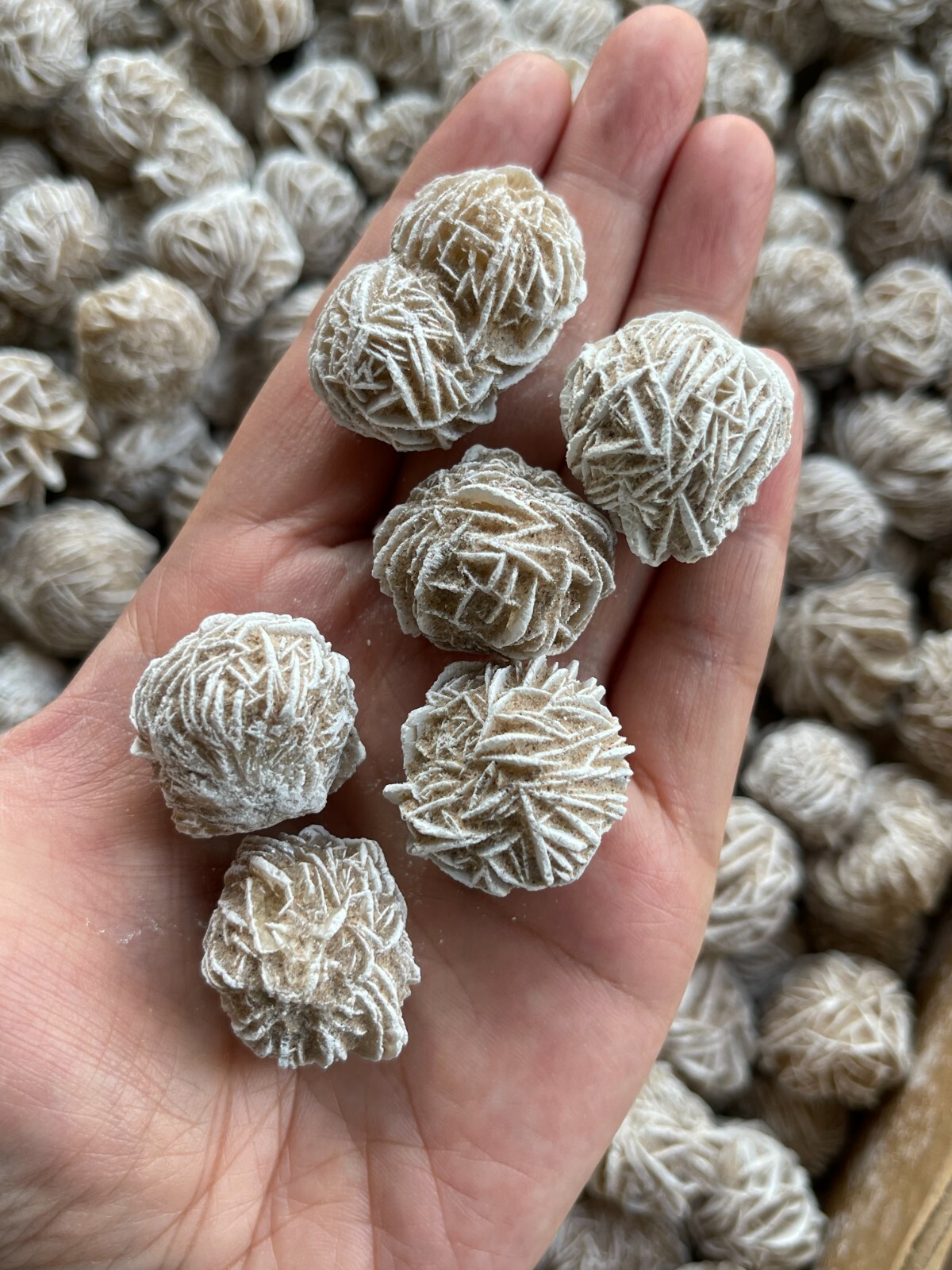 Desert Rose Selenite, 0.85-1.25 Inch Small Desert Gypsum Rose,Wholesale Bulk Lot