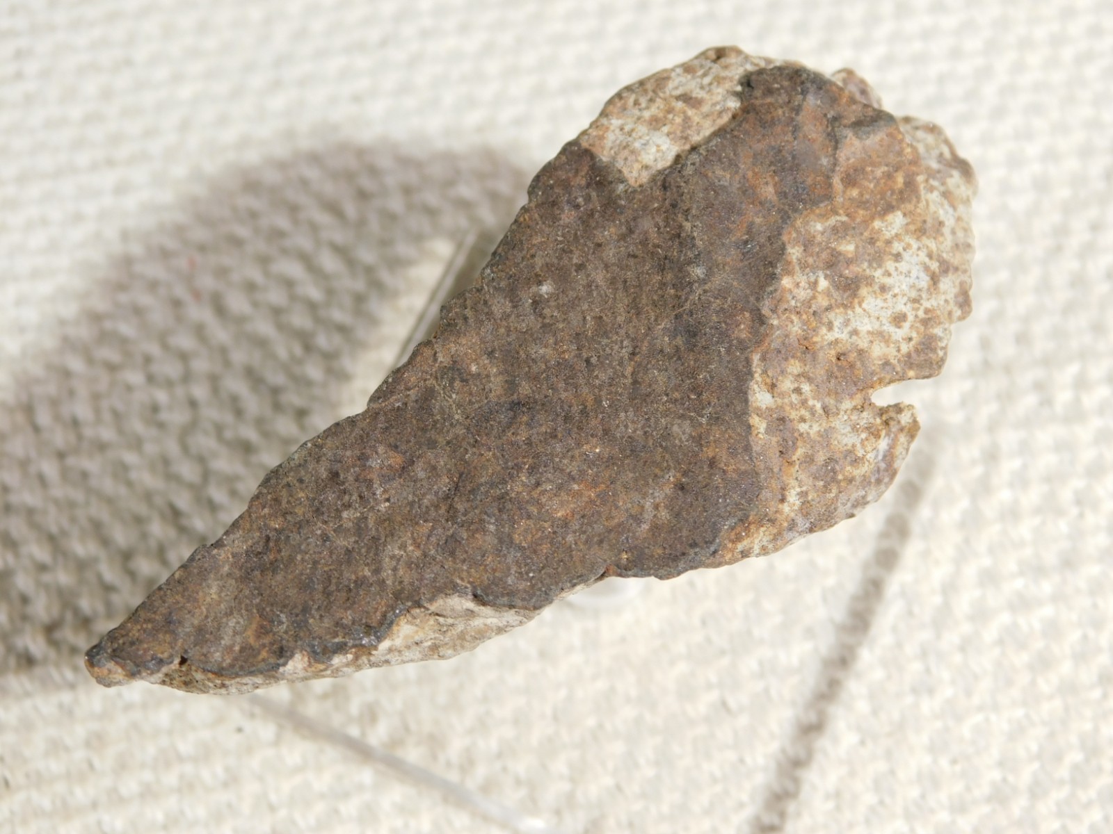 Classified NWA 8245 METEORITE Spots of Dark Fusion Crust! Erfoud, Morocco 68.7gr