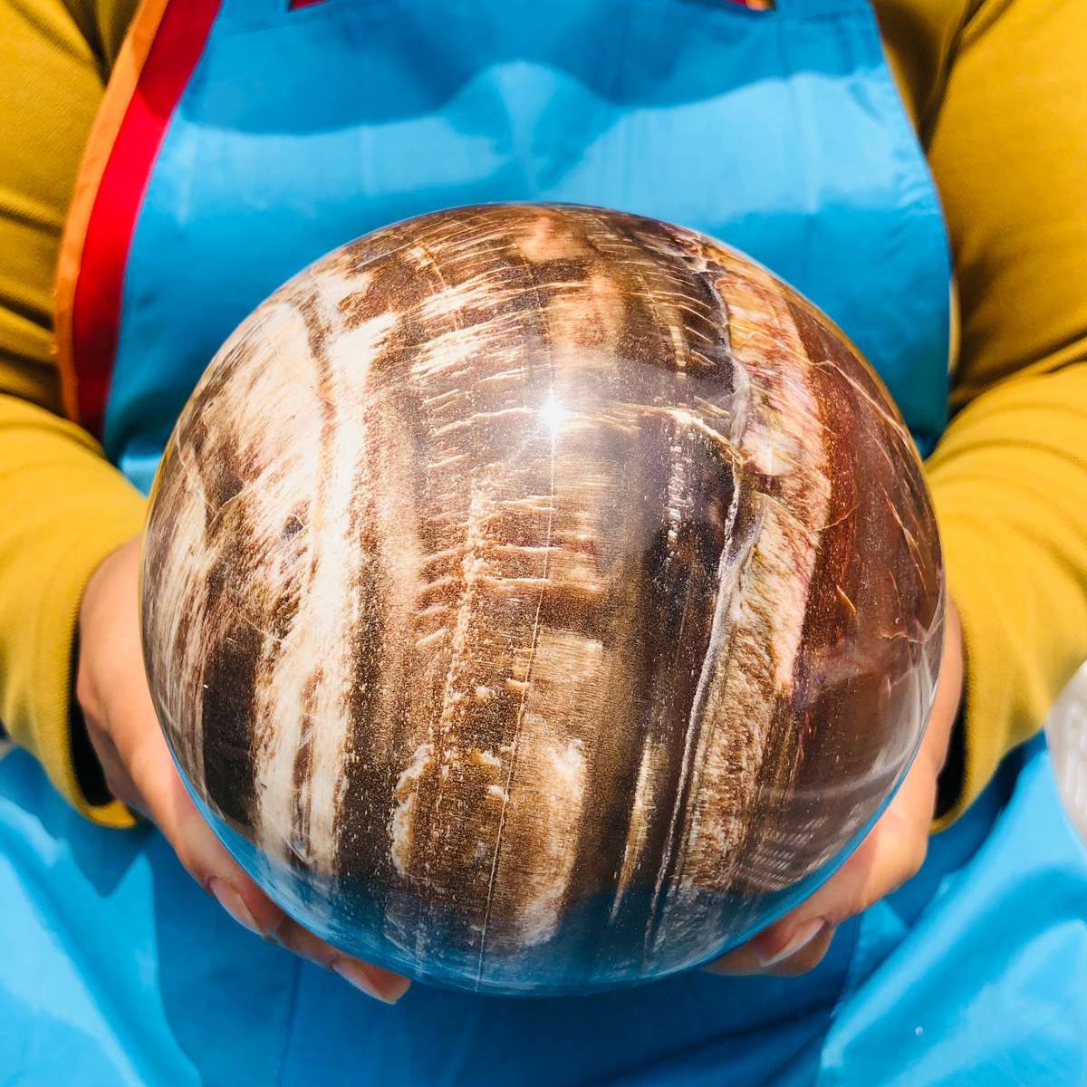 7.72LB Rare Natural Petrified Wood Ball Crystal Quartz Mineral Healing 4709