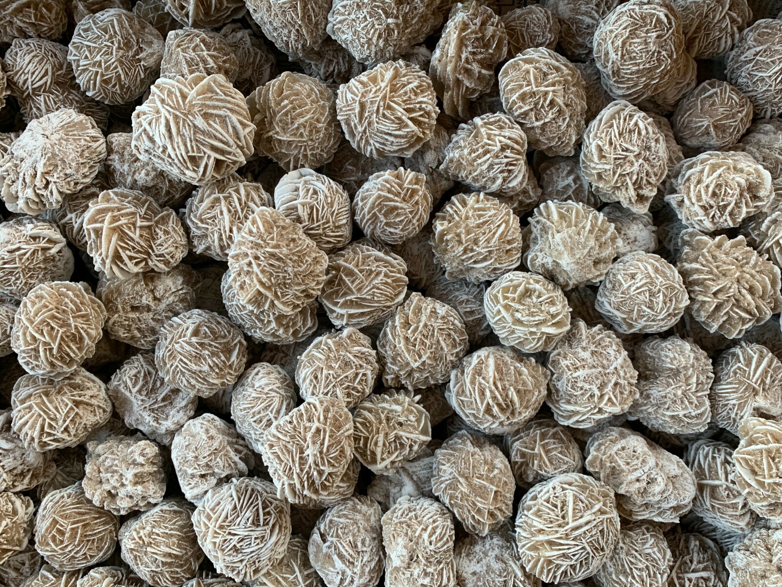 Desert Rose Selenite, 1.25-1.75 Inch Desert Gypsum Rose, Wholesale Bulk Lot