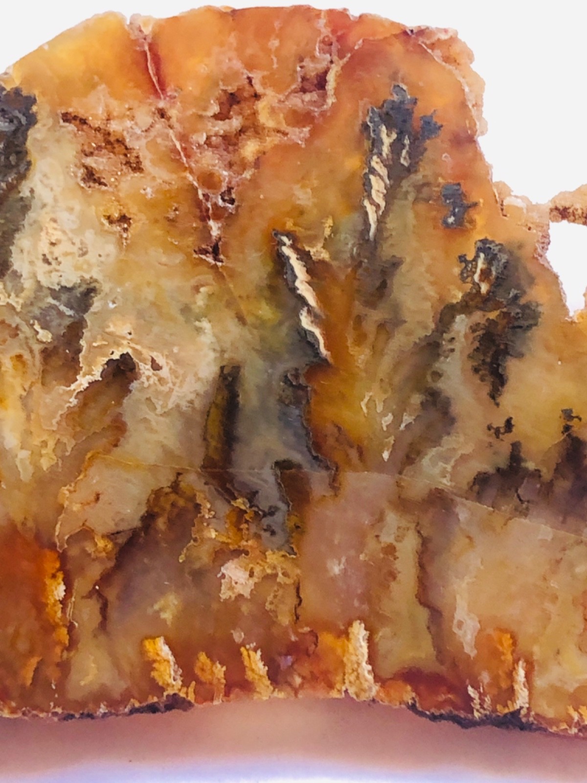 Graveyard Plume Agate Museum Grade Collectors Slab Oregon 202 Grams