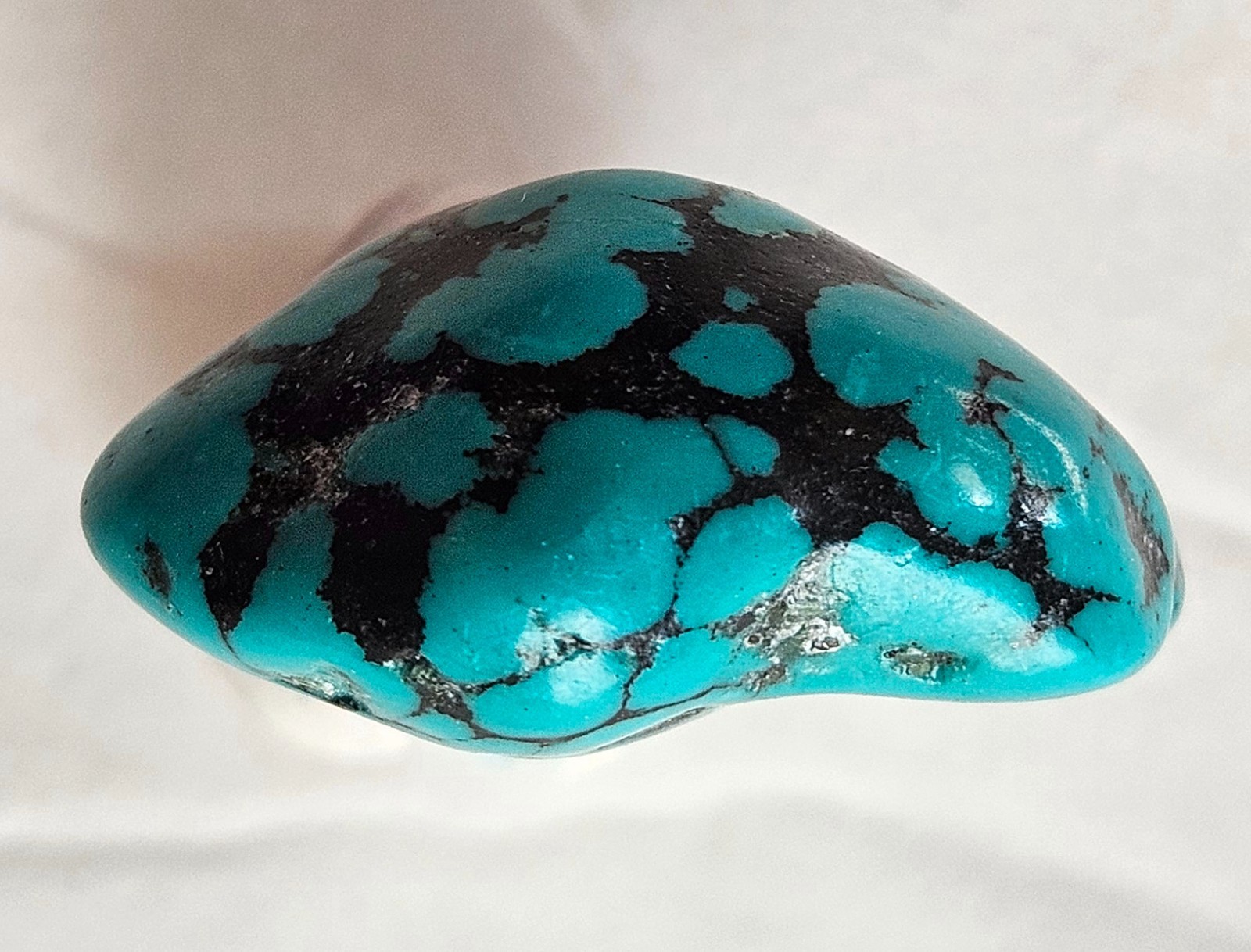 Beautiful Spider Web Turquoise