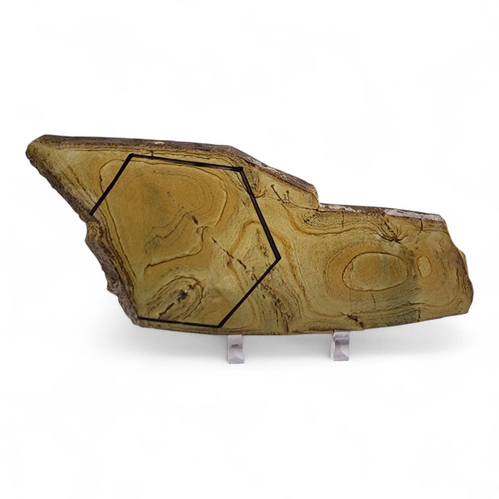 Picture Jasper Slab 52.1 grams. Lapidary or Display