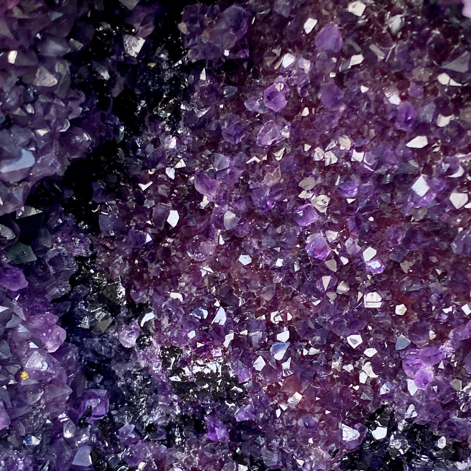 5.48LB High quality Natural Amethyst geode quartz crystal Dinosaur egg healing