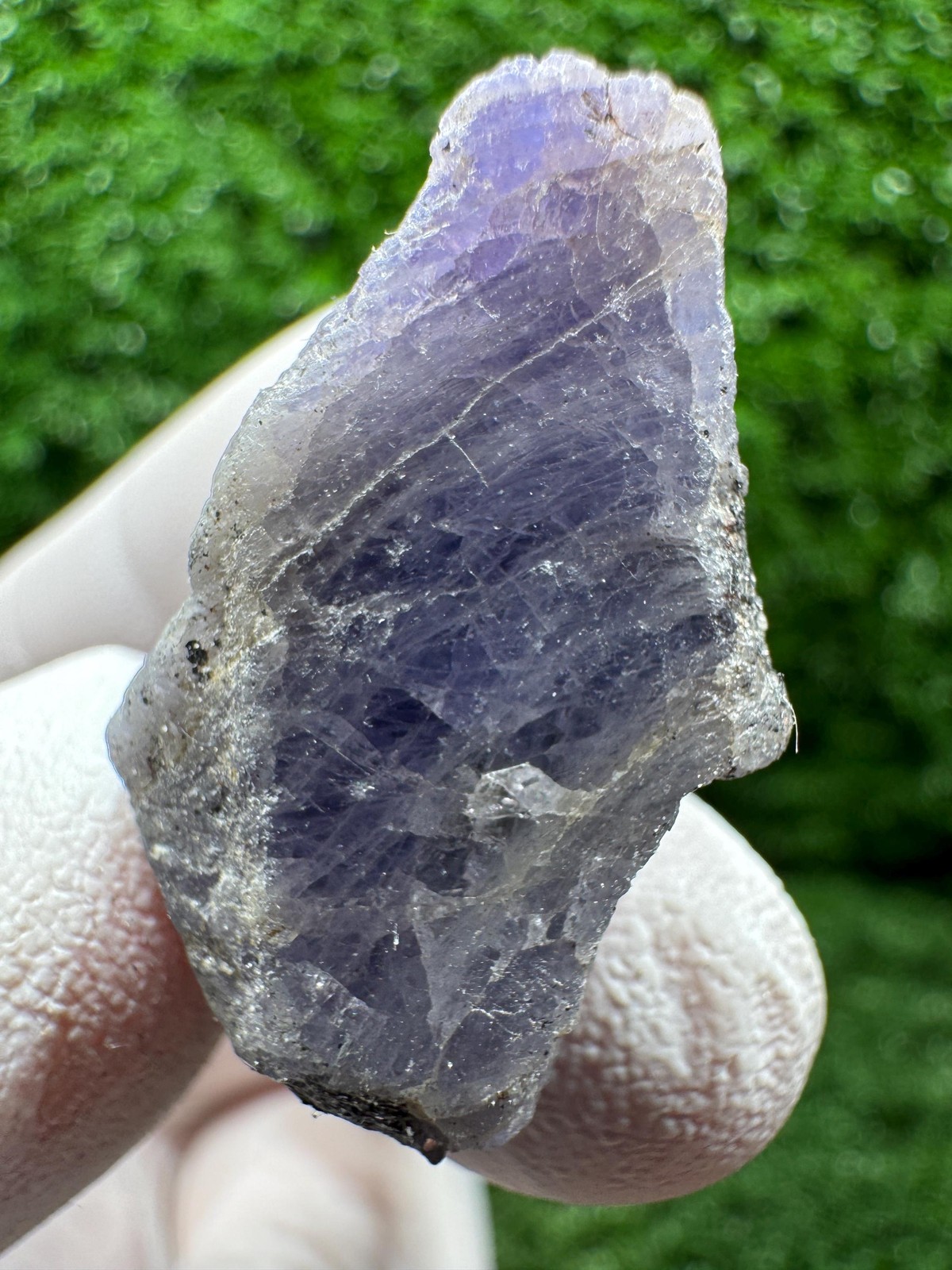 Amazing TANZANITE Crystal with COLOR CHANGE under yellow/white light / F226