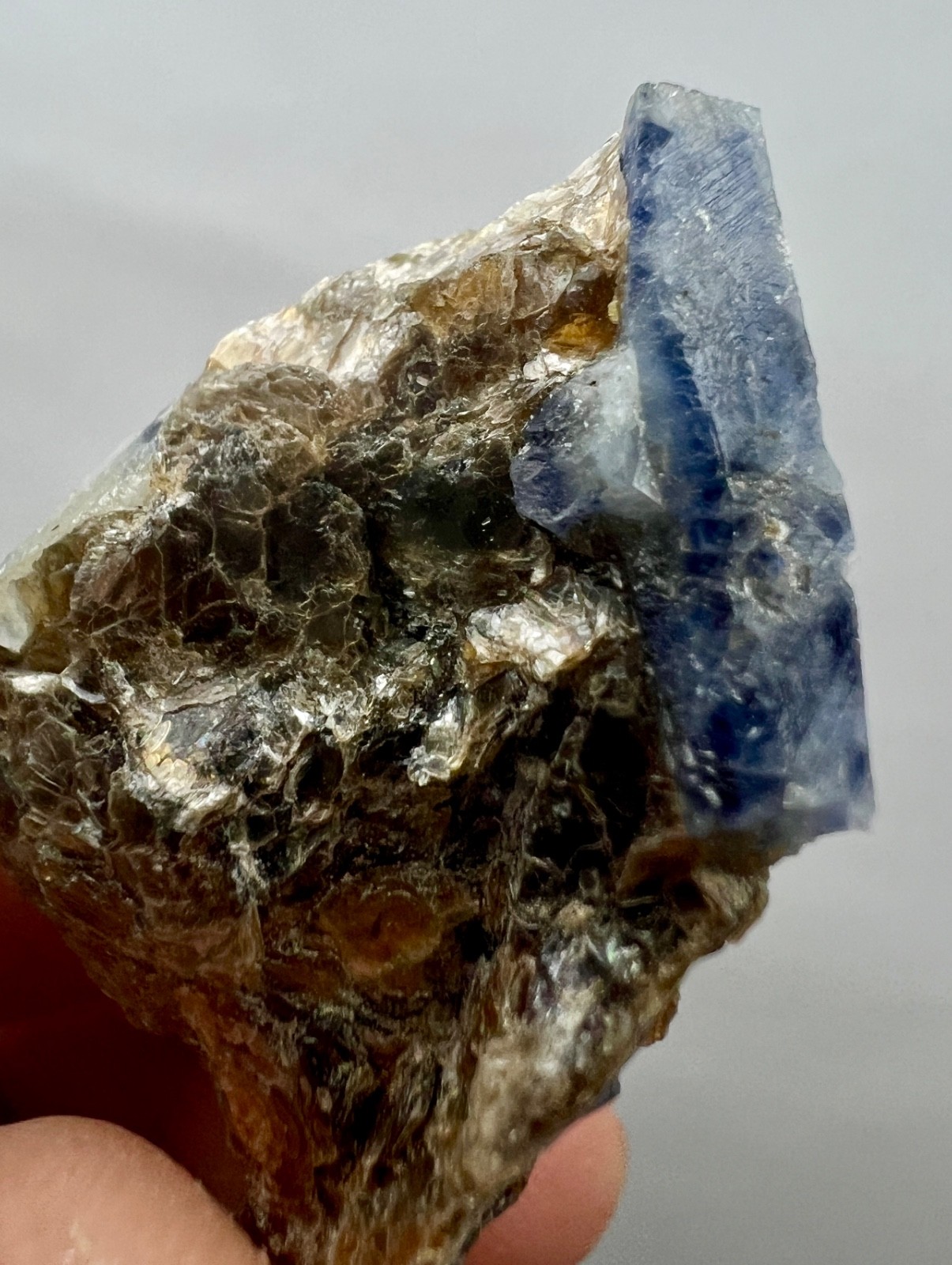58ct.Natural Blue Sapphire Crystal Cluster on Mica Matrix – Afghanistan Specimen