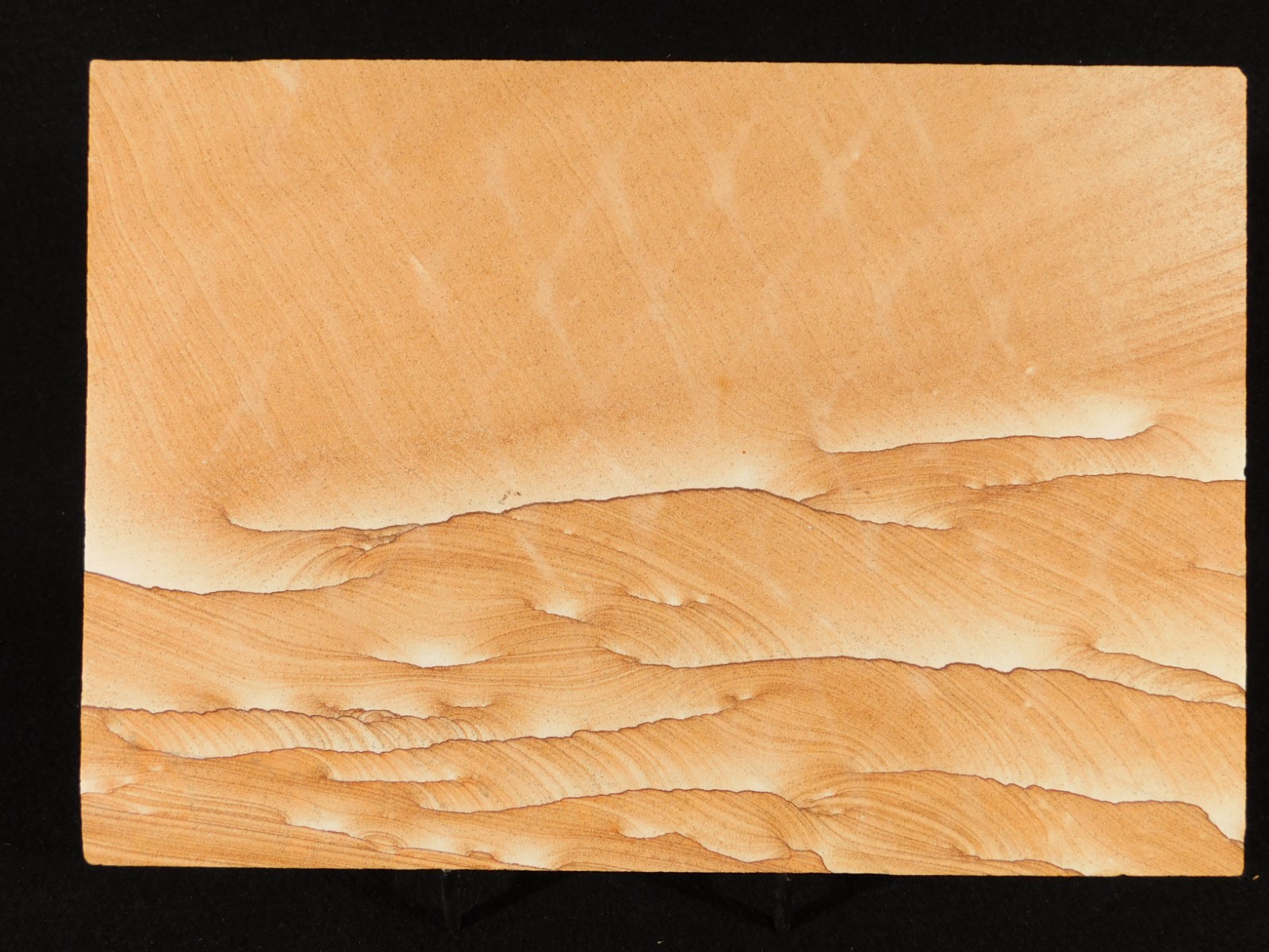 wOw! BIG PICTURE Stone or SANDSTONE Slice/Slab with Display Stand Utah 1041gr