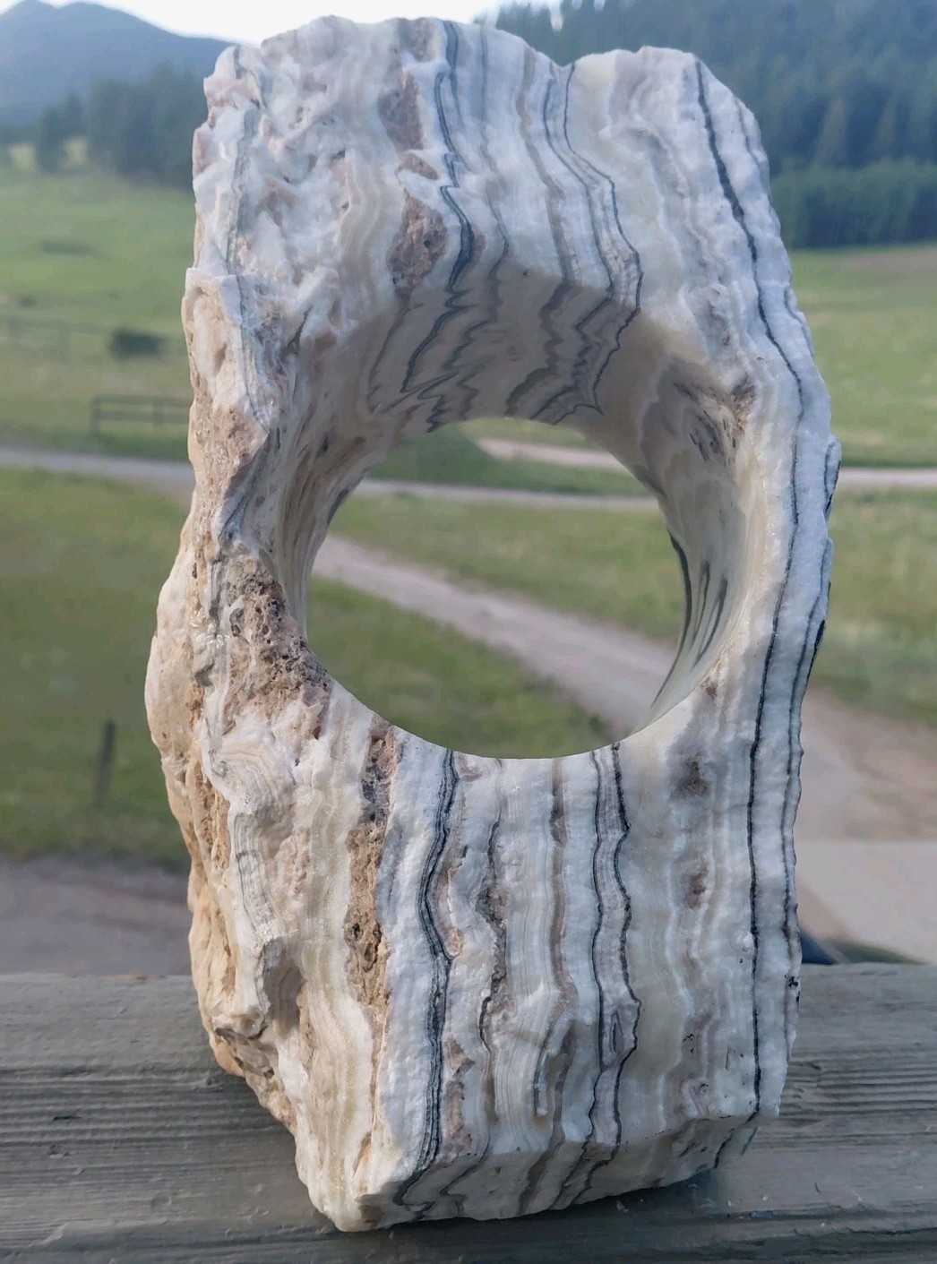 13.25Lb Zebra Calcite W CORED 4″ “Window” Display UV+ Bands Wrap Unique Décor