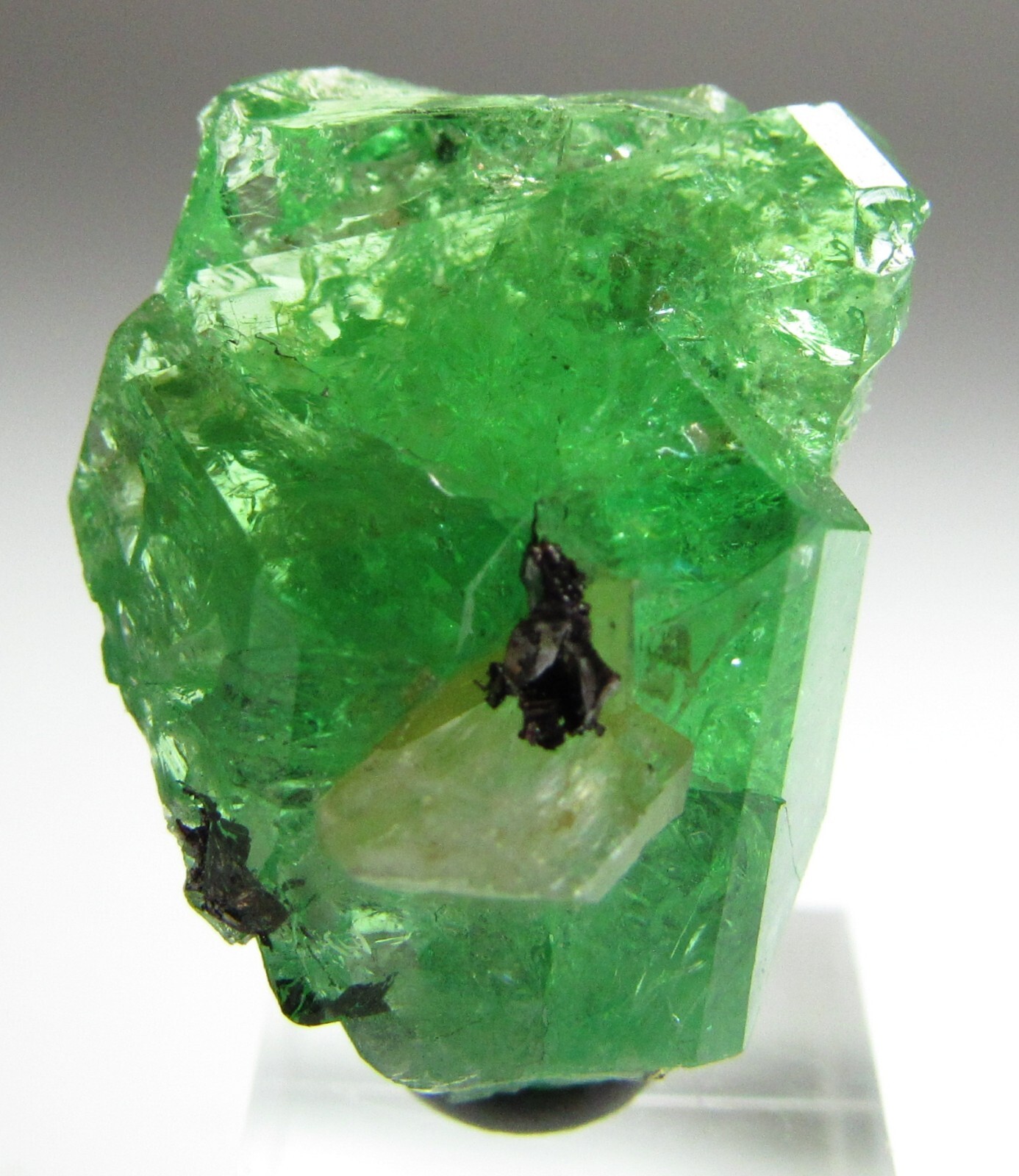 EXQUISITE ELEGANT GLASSY GEM TSAVORITE GROSSULAR GARNET W/ DIOPSIDE!!! TANZANIA