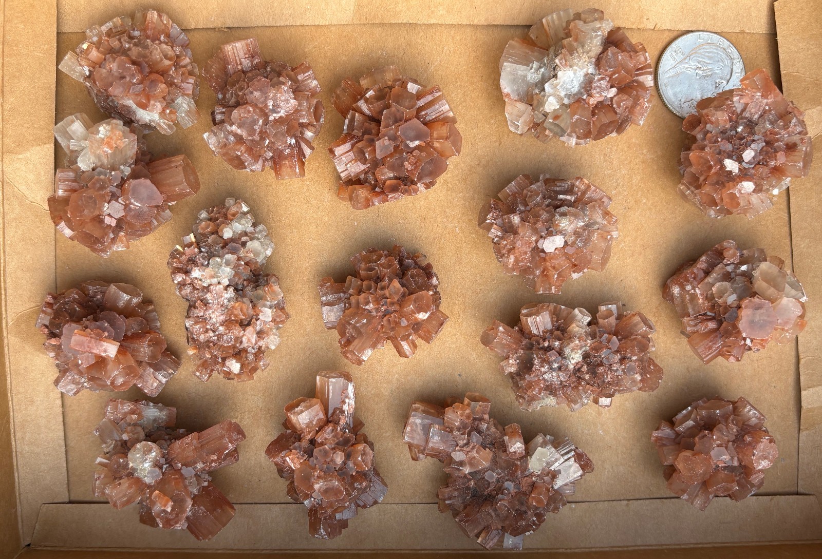 473g 1LB+ POUND LOT ARAGONITE NICE SIZE NUGGETS RED BROWN STALACITE STALACITES