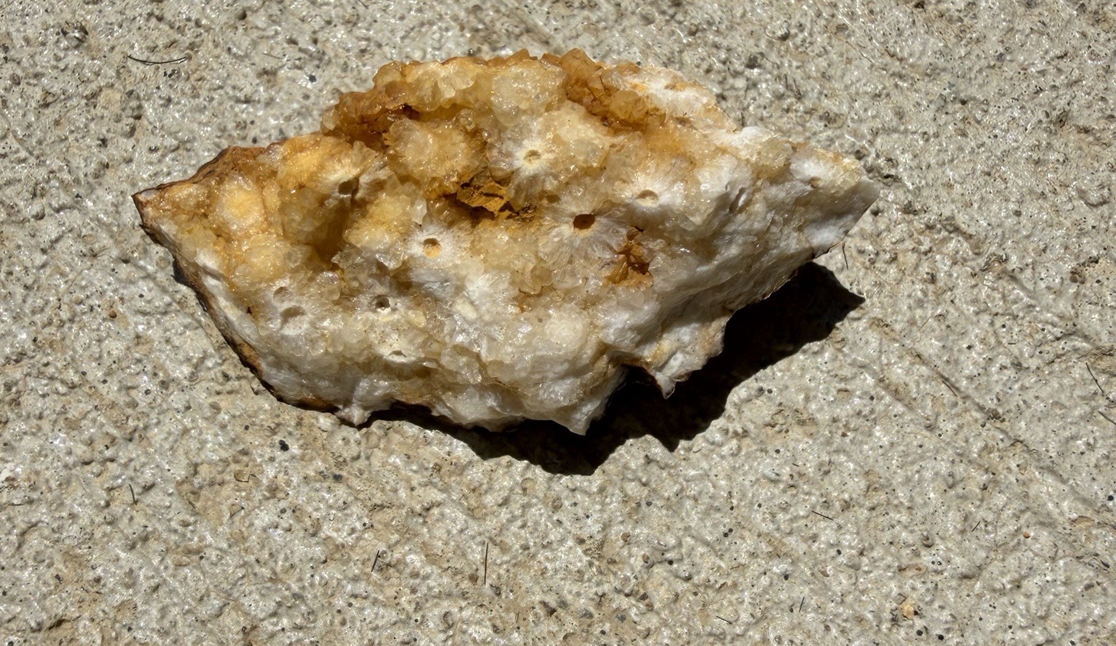Kentucky Fossil Coral in Chalcedony/Quartz Natural Specimen – Raw Unpolished